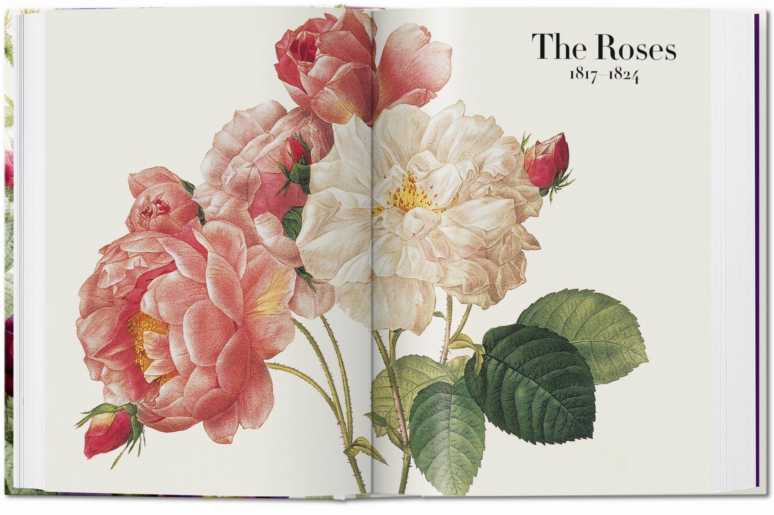 Redouté. The Book of Flowers. 45th Ed. (German, French, English)