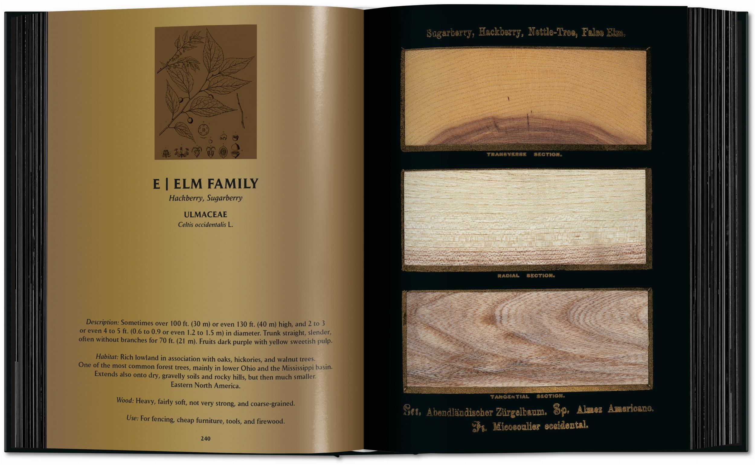 Romeyn B. Hough. The Woodbook. The Complete Plates (English)