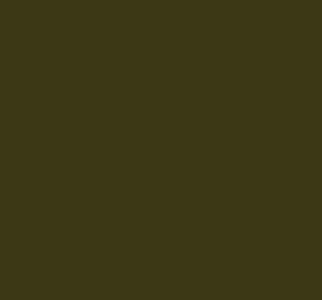 AK Interactive 11310 AFV Series: Olive Green opt 2 RAL6003 3G Acrylic Paint 17ml