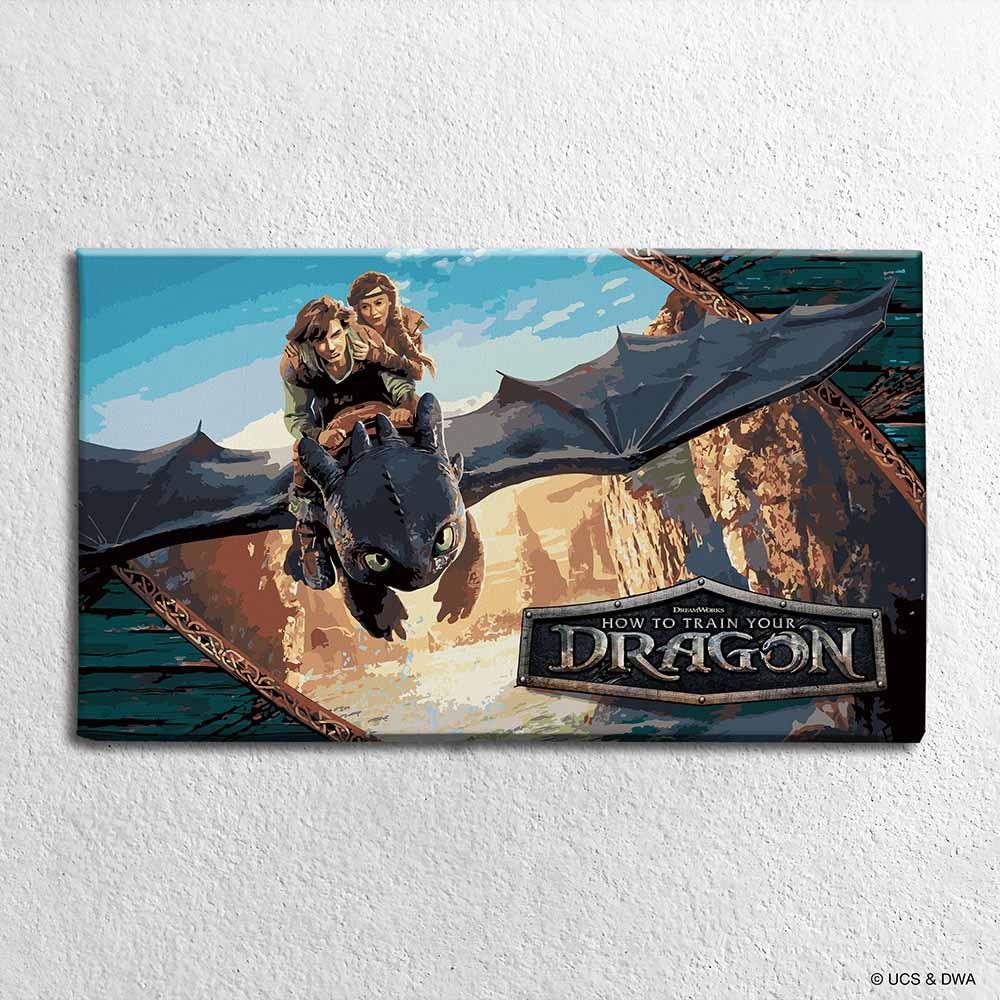 How to Train Your Dragon - Paint By Numbers Kit