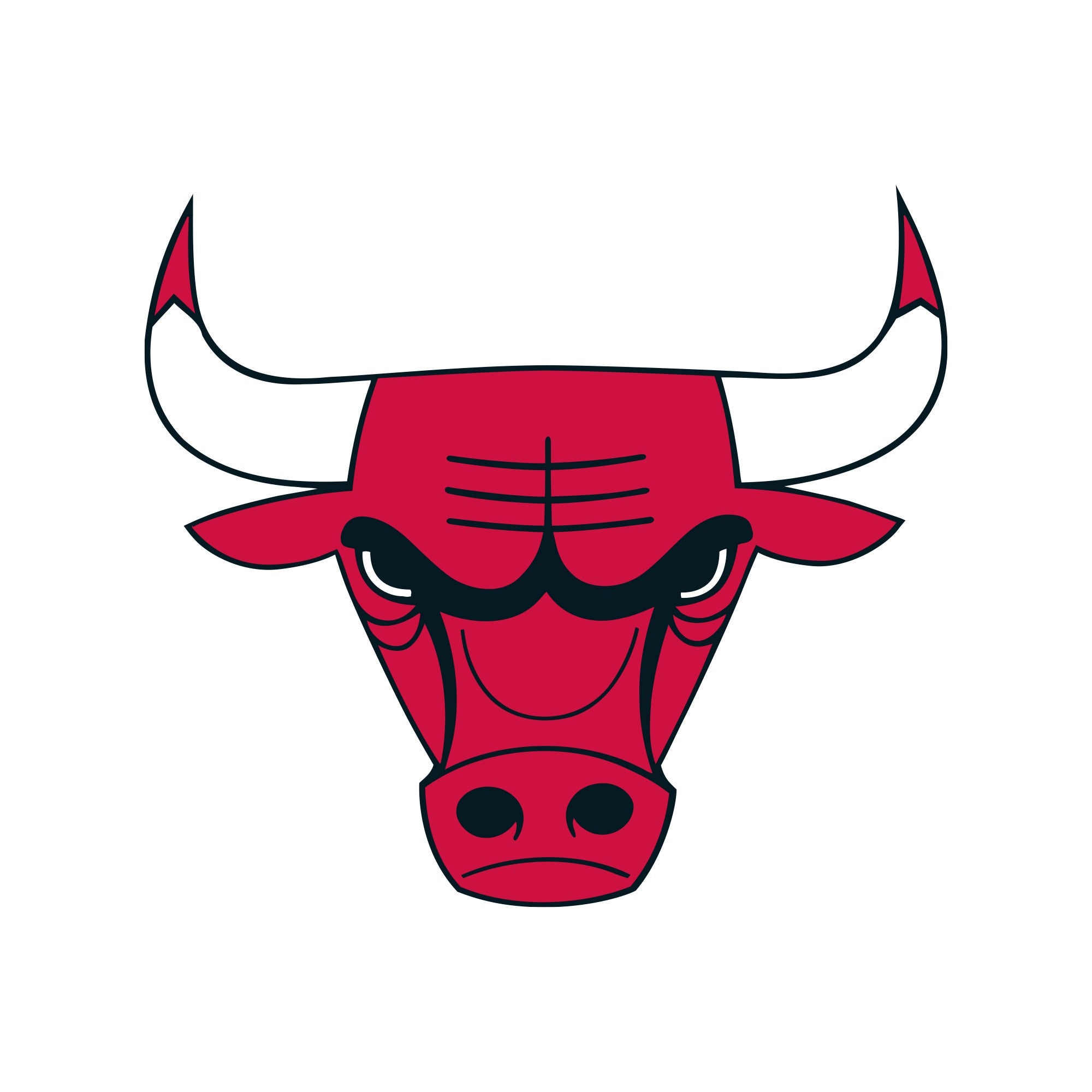 Chicago Bulls - 5 Logo Minis (Mixed Sizes) - Official NBA - Reusable Vinyl Decals