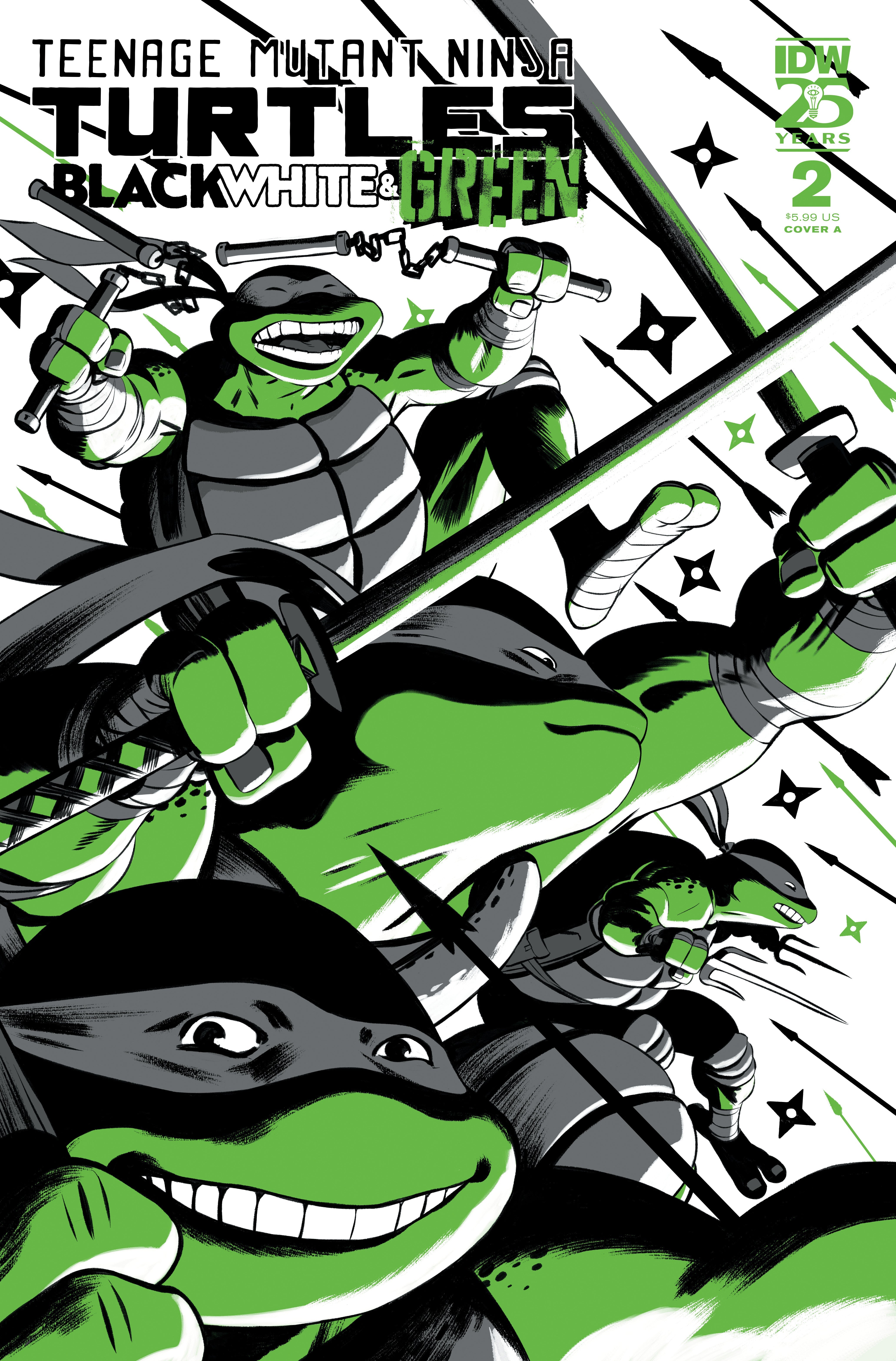 Teenage Mutant Ninja Turtles TMNT Black White & Green #2 A Javier Rodriguez (06/19/2024) Idw