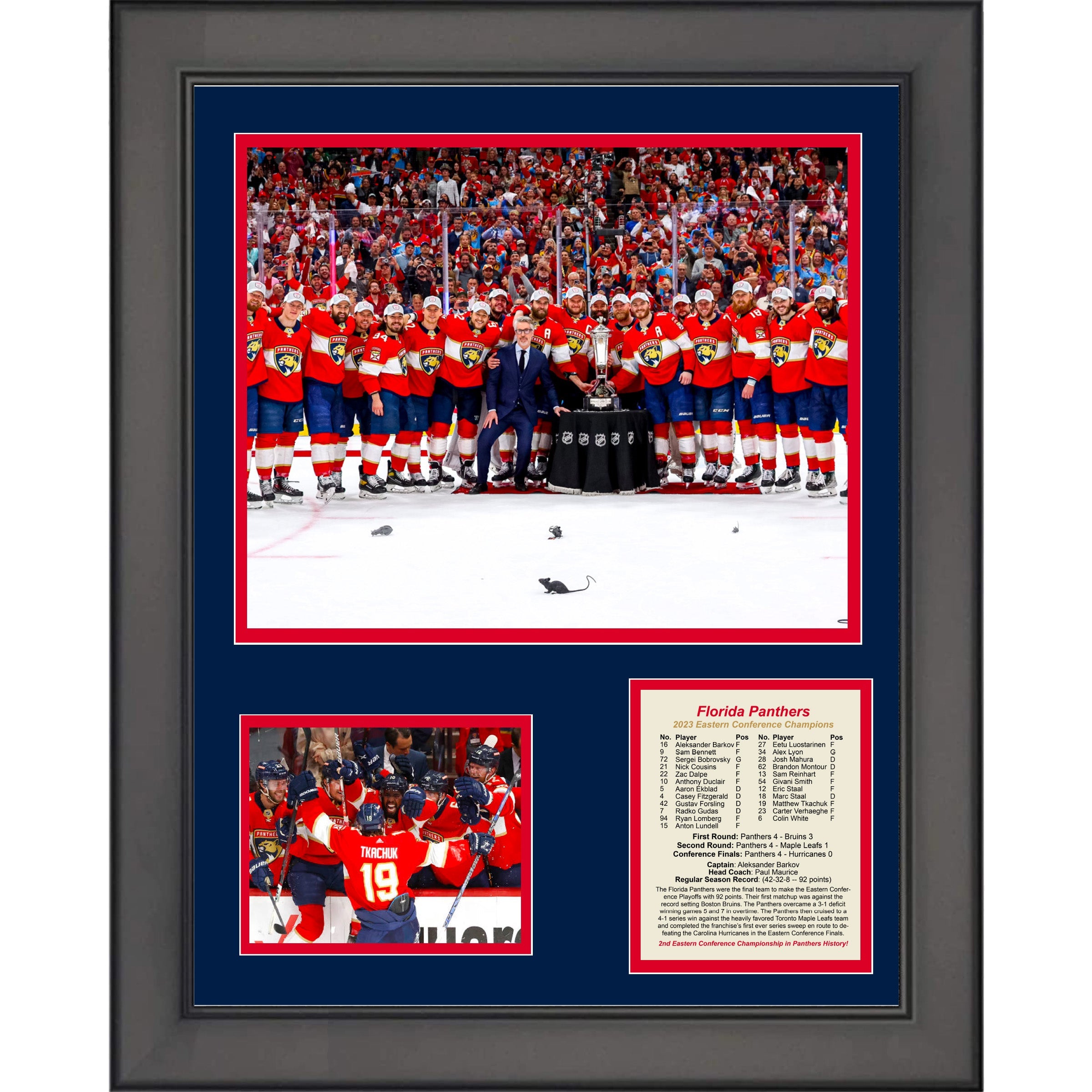 Framed Florida Panthers 2023 Eastern Conference Champions 11"x14" Hockey Three Photo Collage