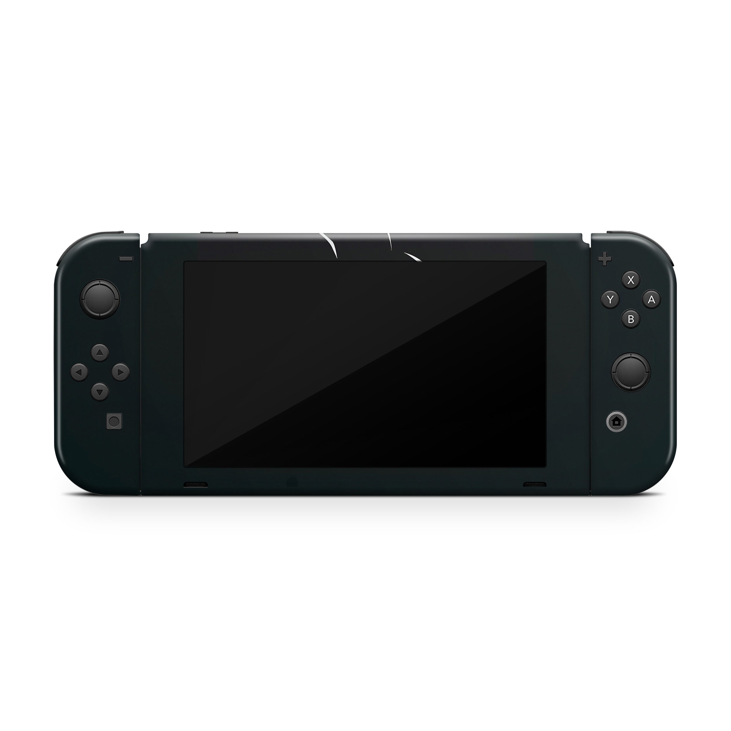 Shadow Warrior Nintendo Switch Skin