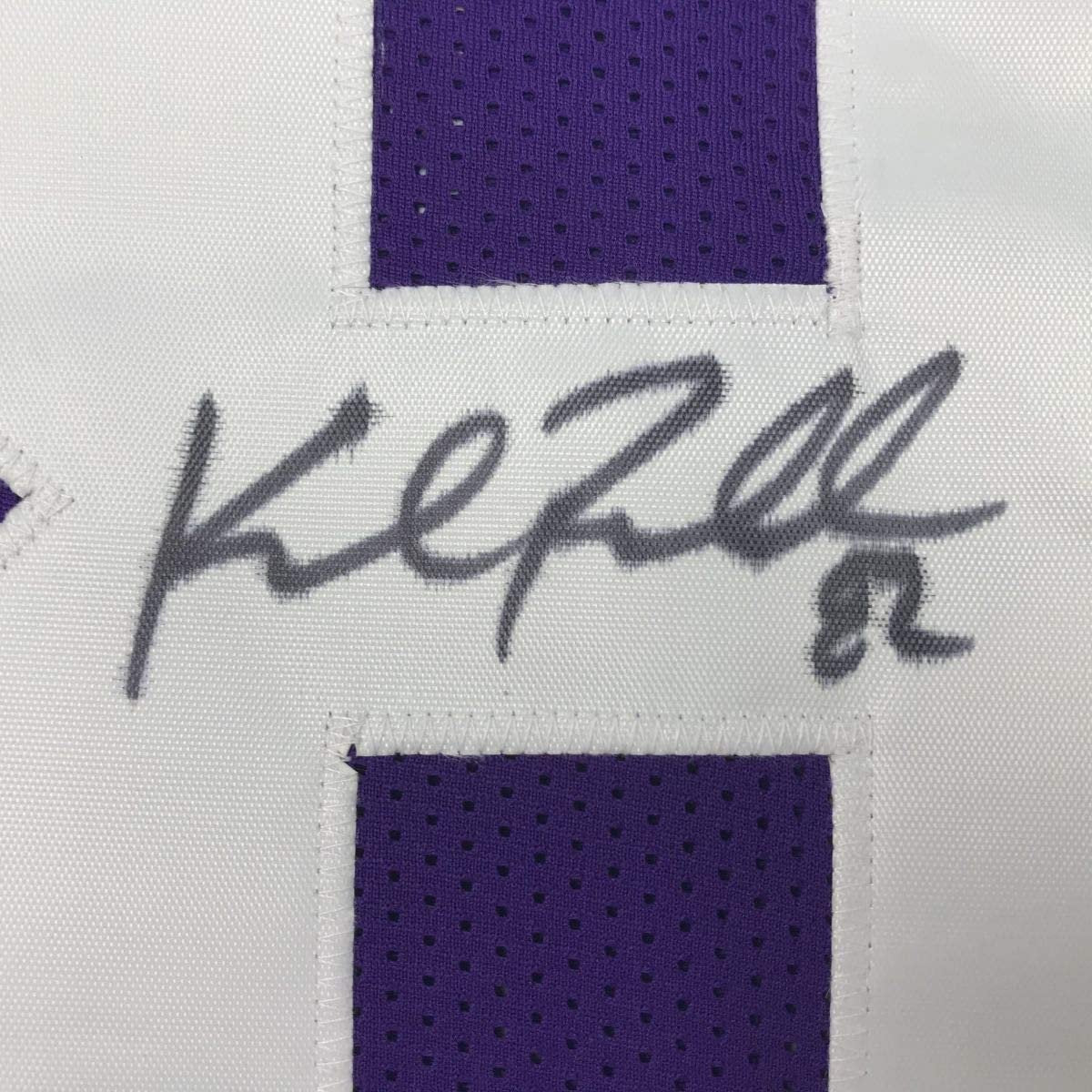 Framed Autographed/Signed Kyle Rudolph 35x39 Minnesota Purple Football Jersey JSA COA