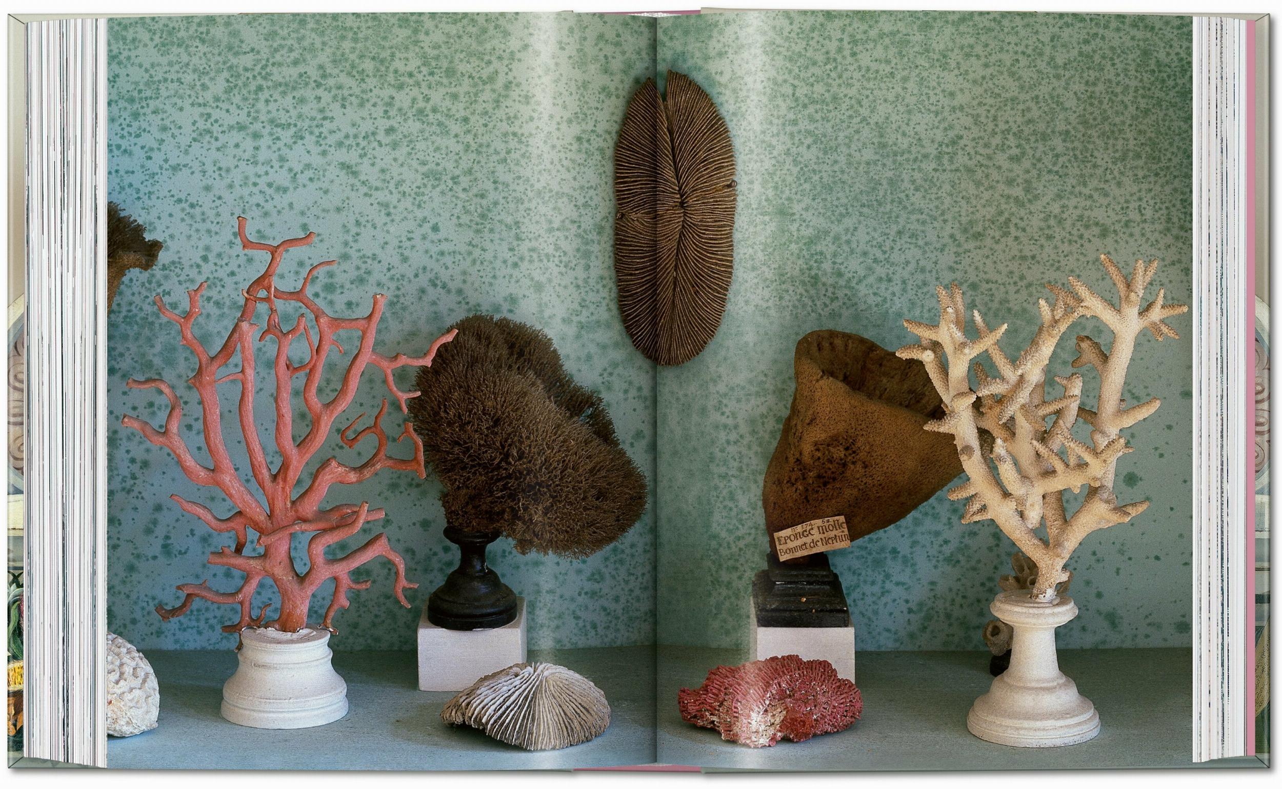 Massimo Listri. Cabinet of Curiosities. 45th Ed. (German, French, English)