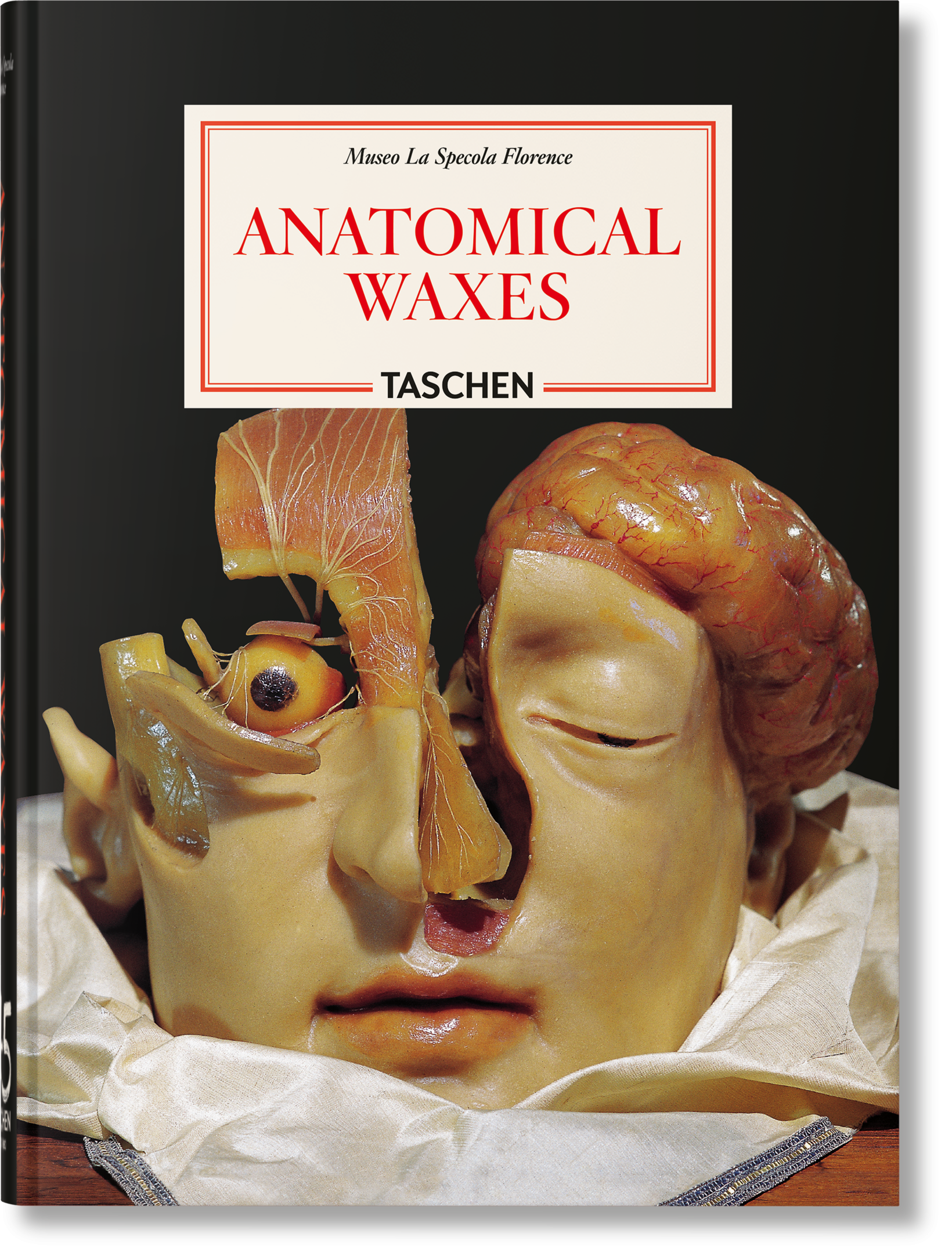Anatomical Waxes. 45th Ed. (German, French, English)