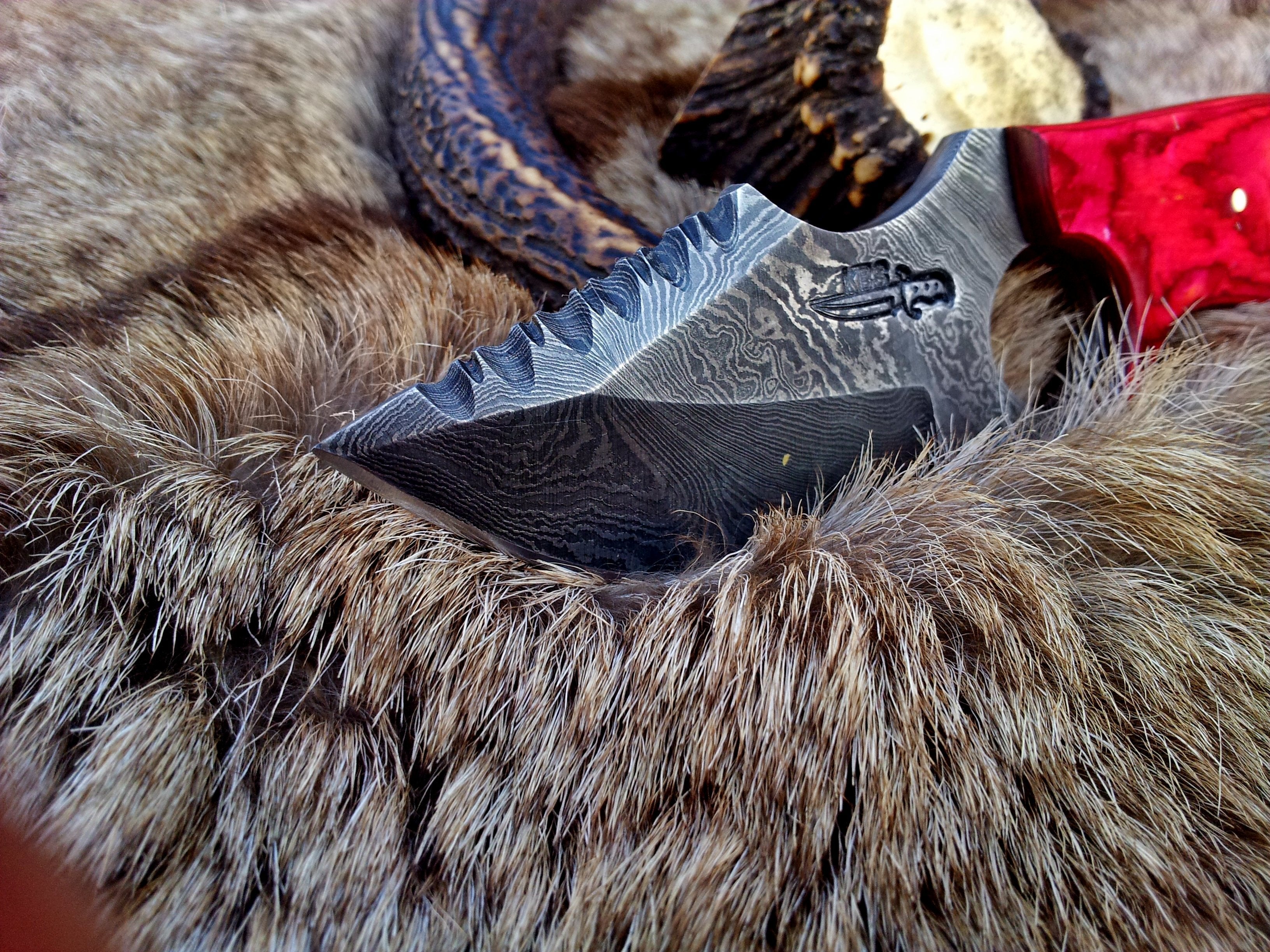 Custom Damascus Steel Field Dressing Deer Skinning Knife with Pakka Wood Handle – 7.5 Inch Drop Point Blade with Finger Hole