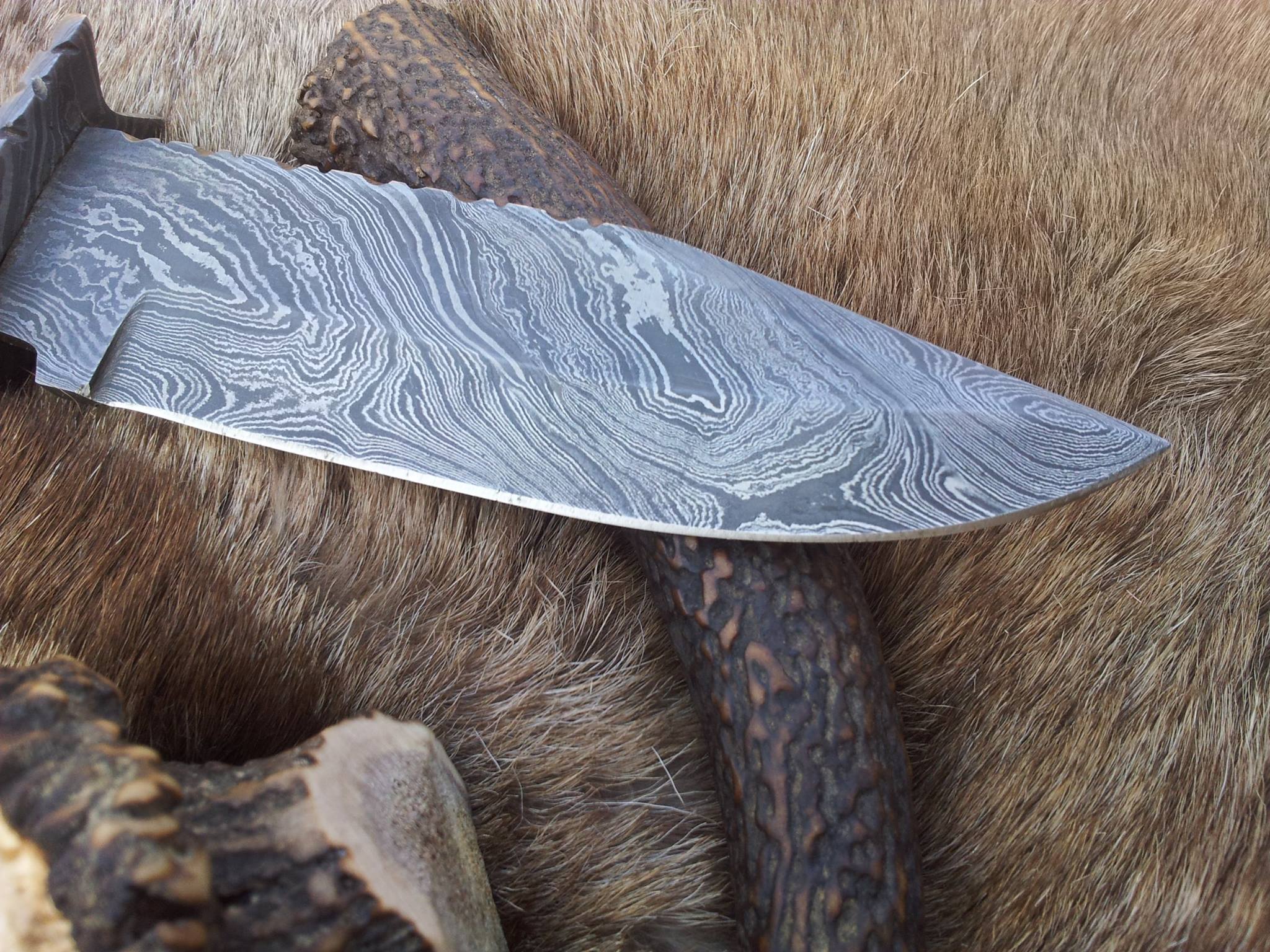 The Hunter's Choice: Custom Handmade Damascus Hunting Knife | Color Bone & Buffalo Horn | 11 Inches | Leather Sheath | KBS Knives