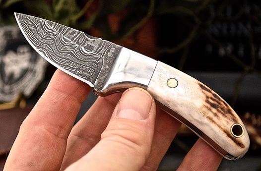 Custom Handmade Damascus New Zealand Red Stag Antler Handle Mini Skinning EDC Small Skinner Neck Knife