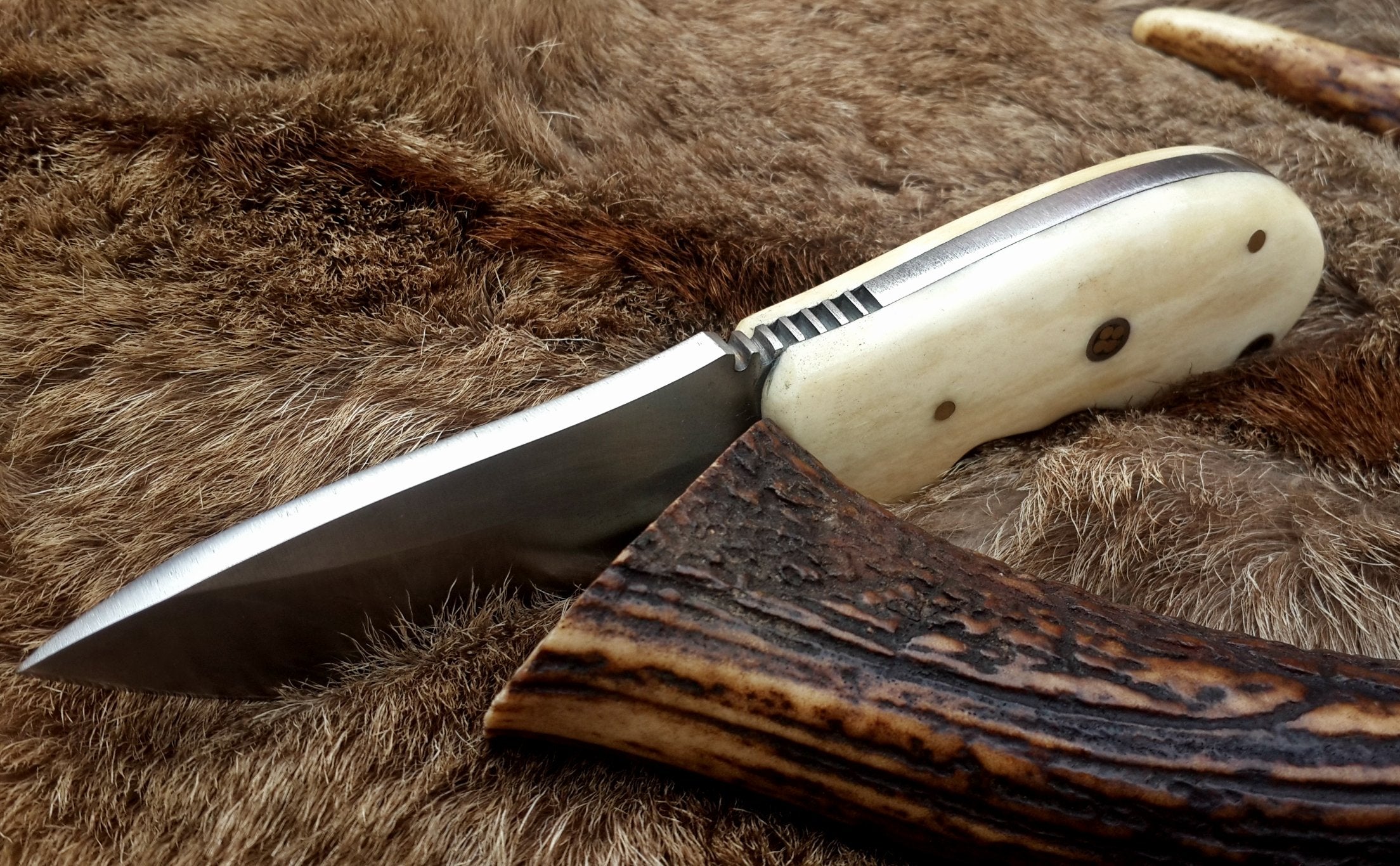Compact D2 Steel Field Dressing Deer Skinning Knife – 6.5 Inch Blade with Bone Handle