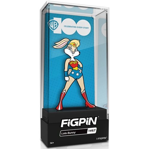 FiGPiN Enamel Pin - Warner Bros. 100 x DC - Select Figure(s)