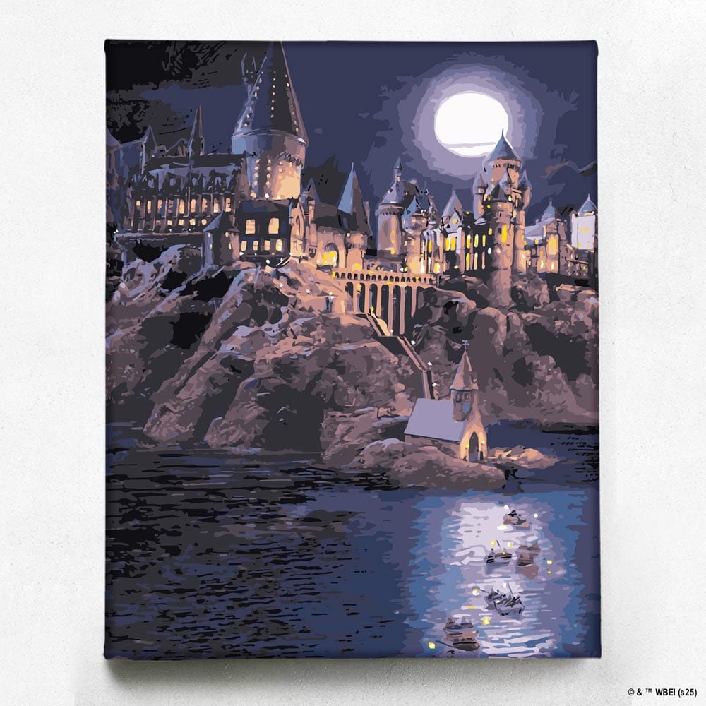 Boats To Hogwarts - Paint By Numbers Kit
