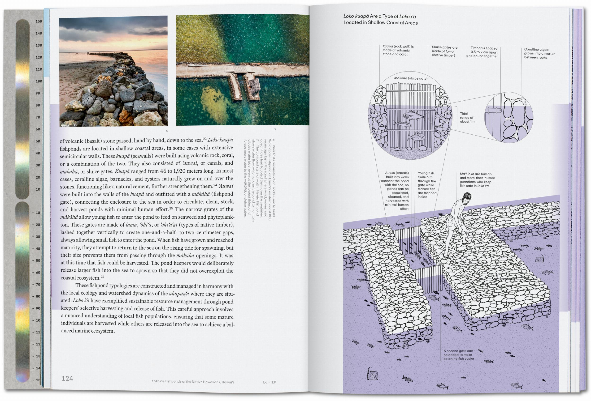 Julia Watson. Lo—TEK. Water. A Field Guide for TEKnology (English)