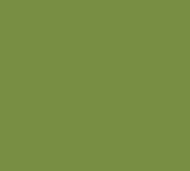 AK Interactive 11411 Figures Series: Light Green 3G Acrylic Paint 17ml Bottle