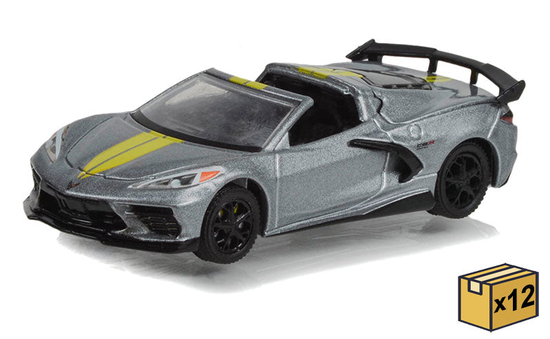 Greenlight 30322-CASE 1/64 Scale 2022 Imsa Gtlm Championship Edition