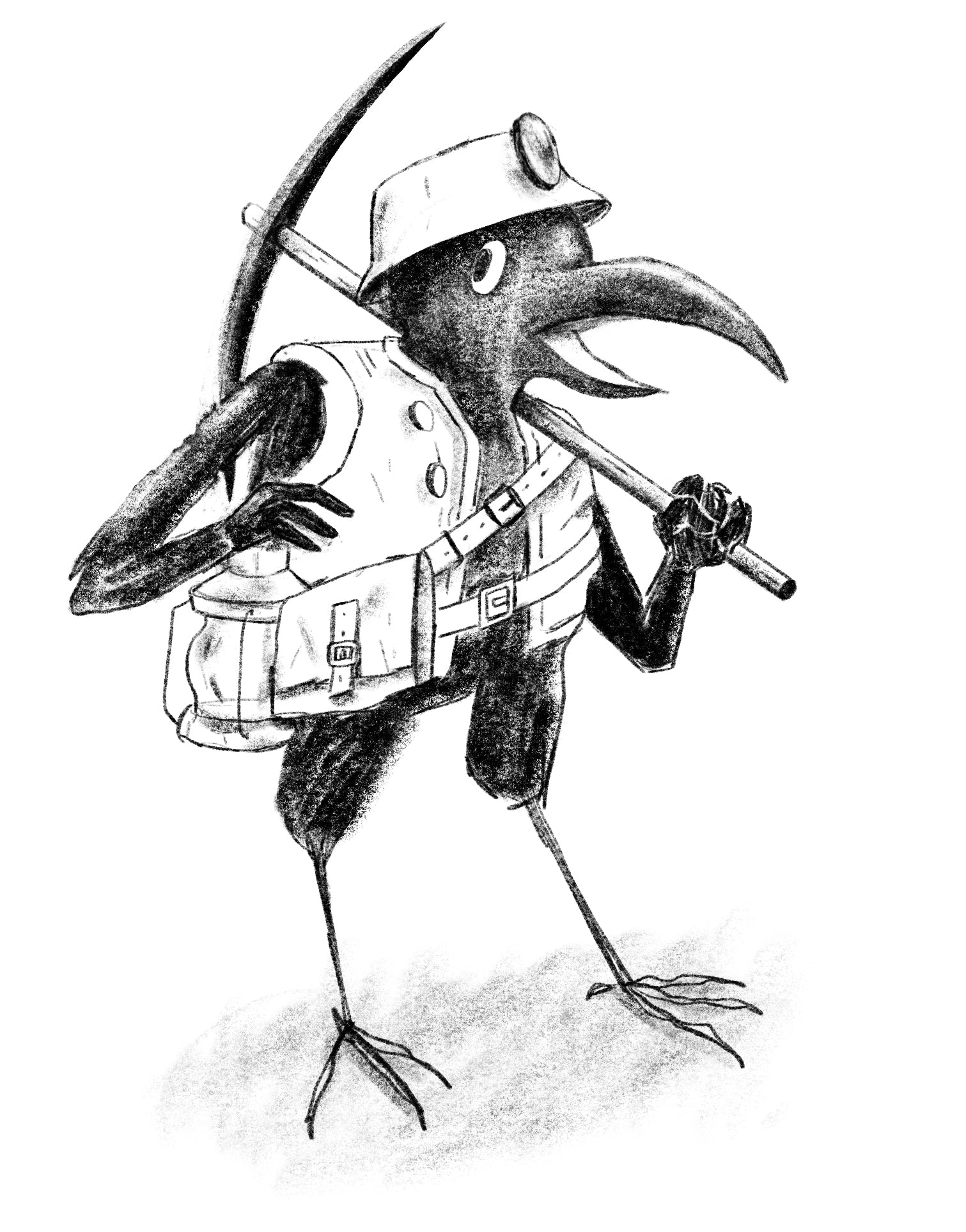 Beak, Feather, & Bone - Roleplaying Map-Labeling Game