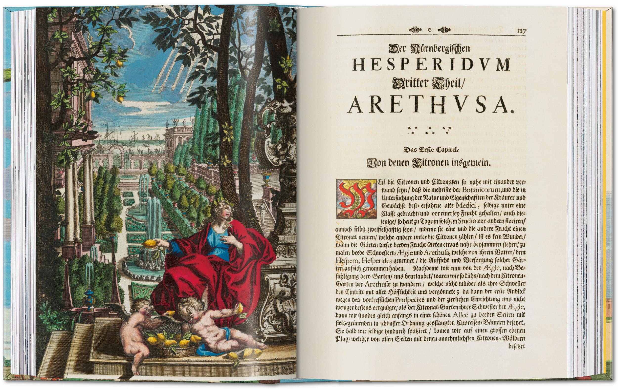 J. C. Volkamer. The Book of Citrus Fruits. 45th Ed. (German, French, English)