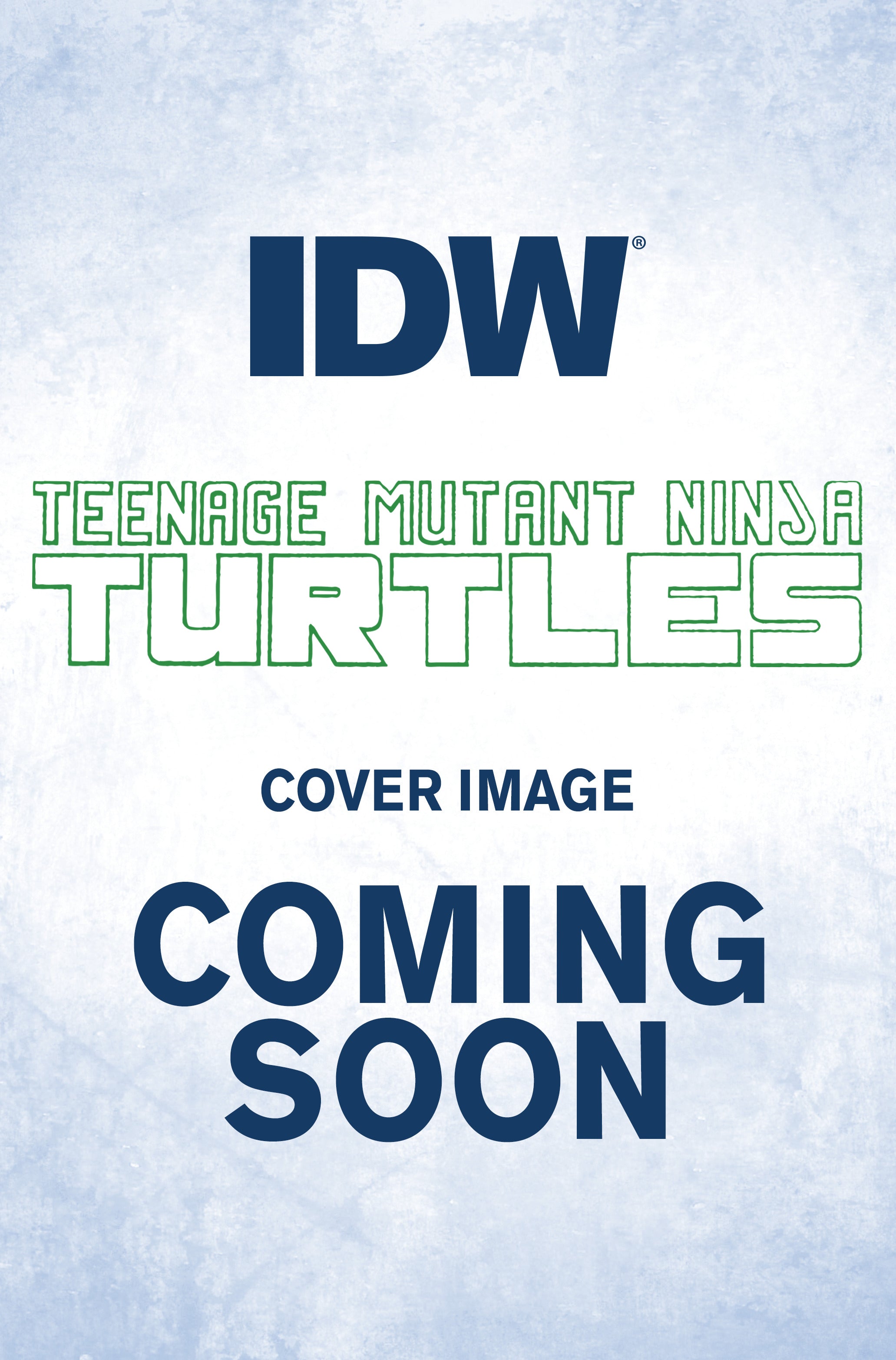 Teenage Mutant Ninja Turtles #134 B Kevin Eastman Variant (11/09/2022) Idw