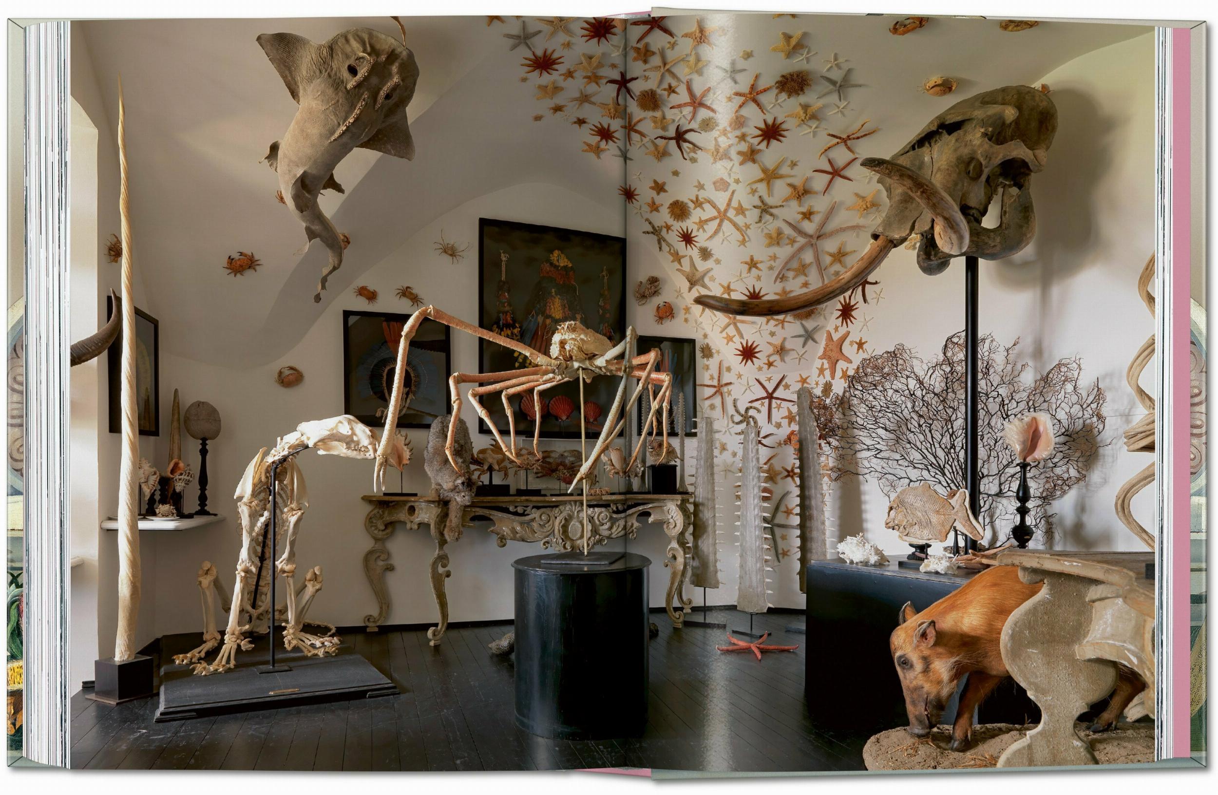 Massimo Listri. Cabinet of Curiosities. 45th Ed. (German, French, English)