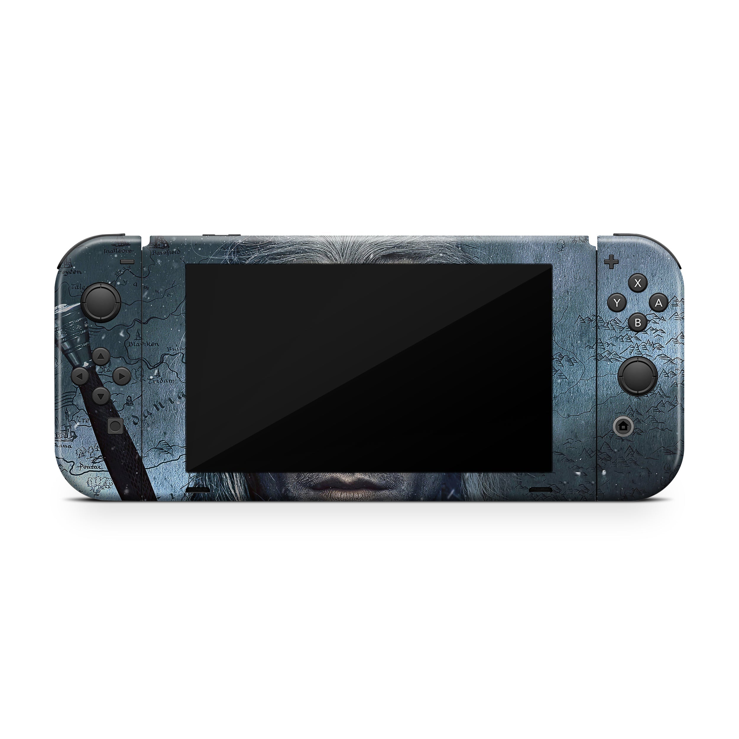 Arcane Warrior Nintendo Switch Skin