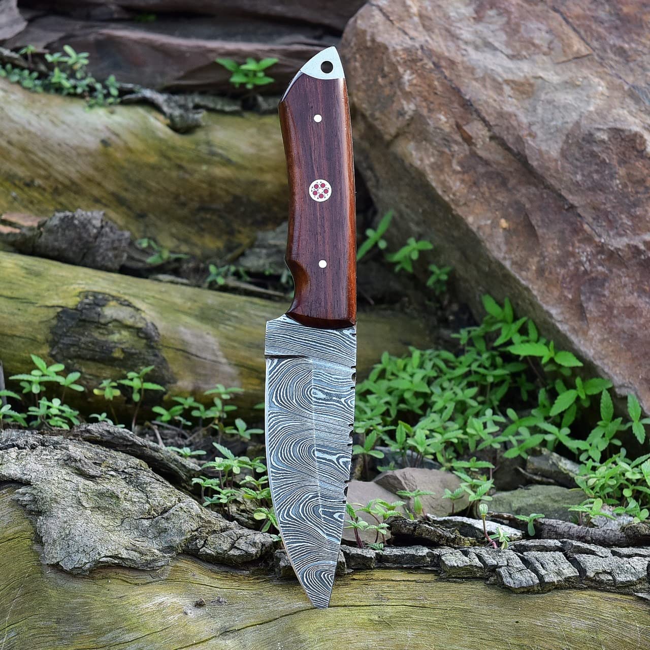 Damascus Skinning Knife With Rose Wood Handle