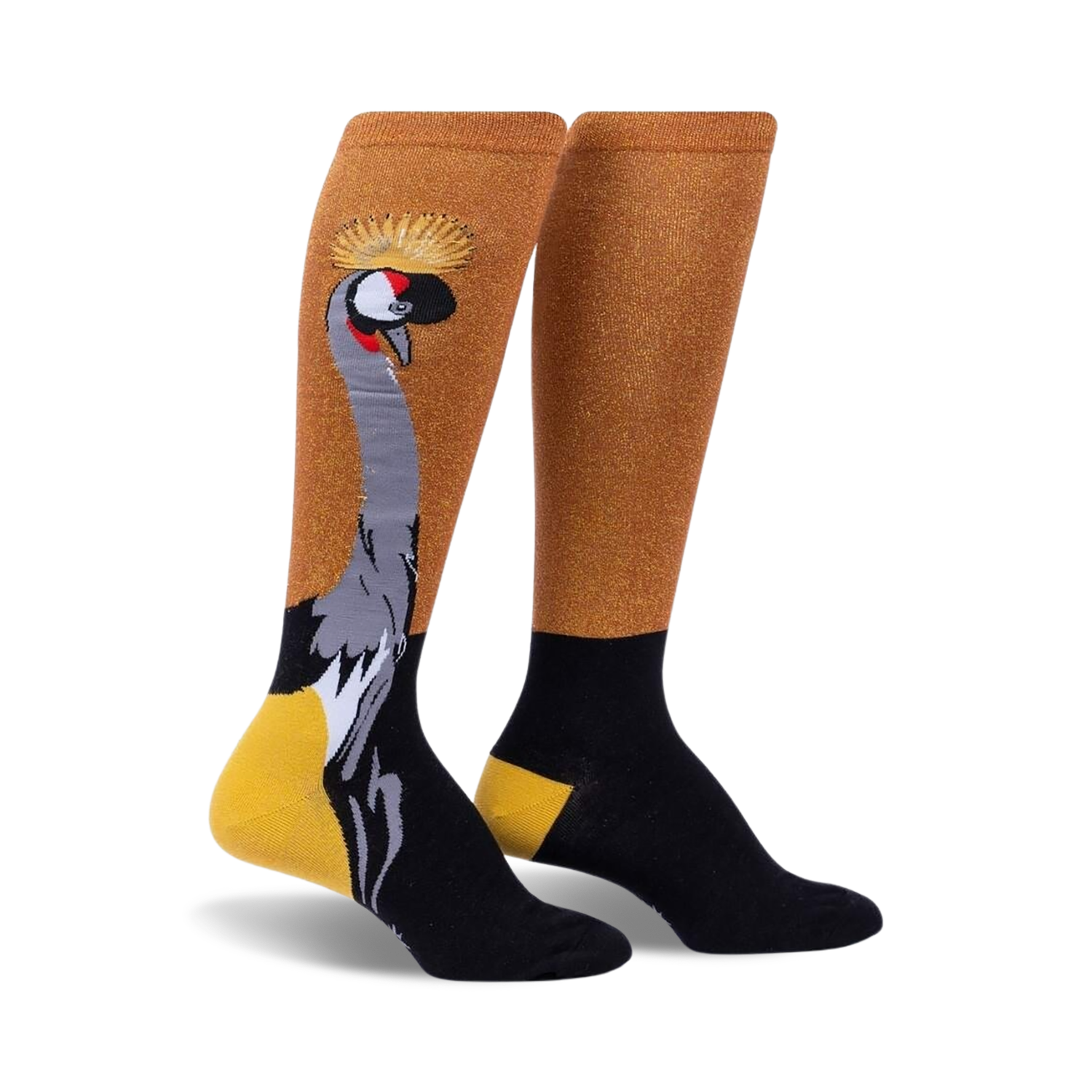 Crowned Crane Shimmer