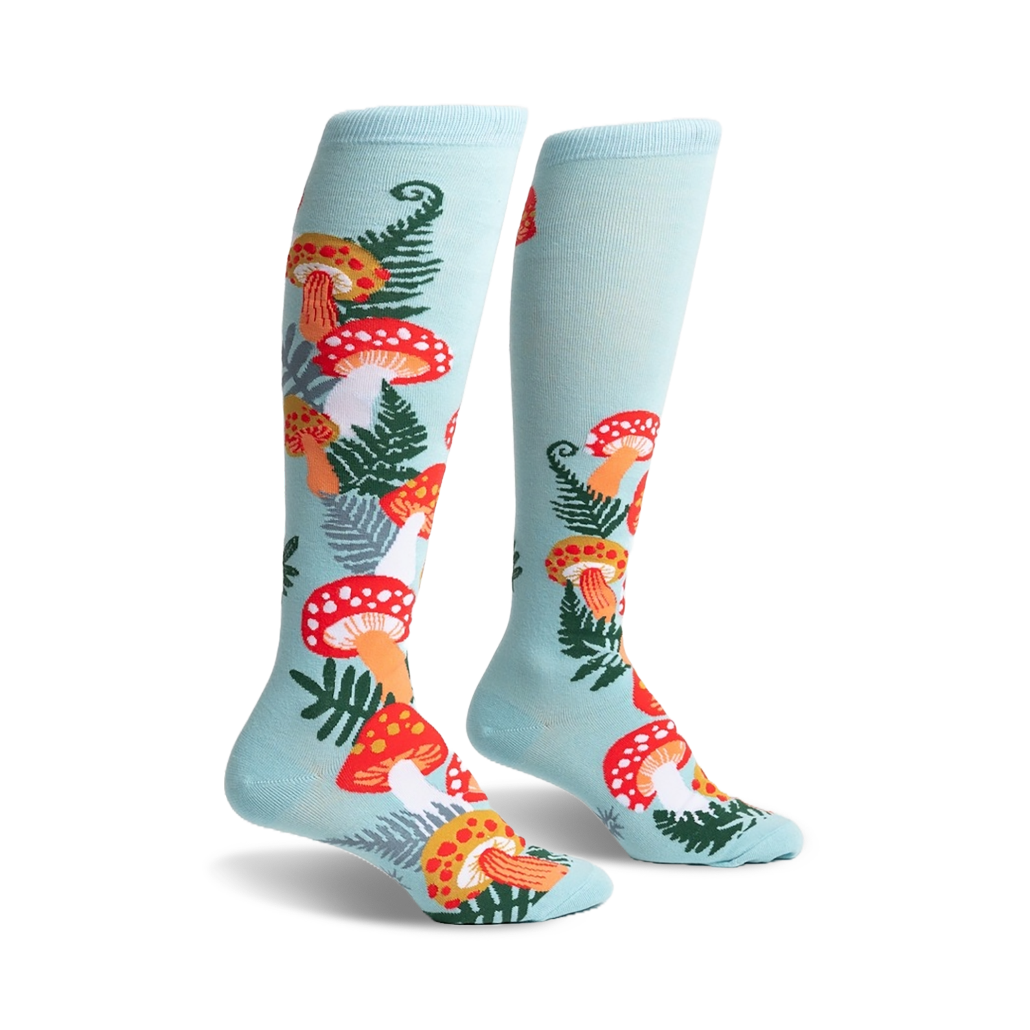 Wonderland Mushrooms