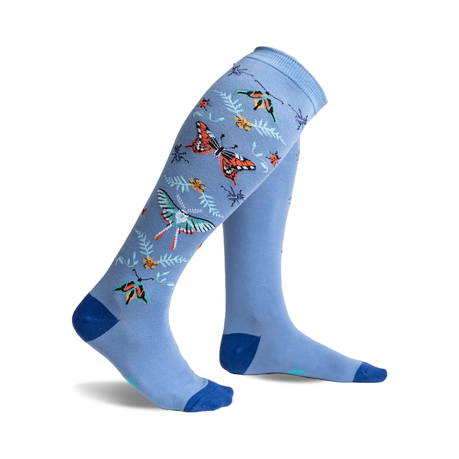 Butterfly In The Sky