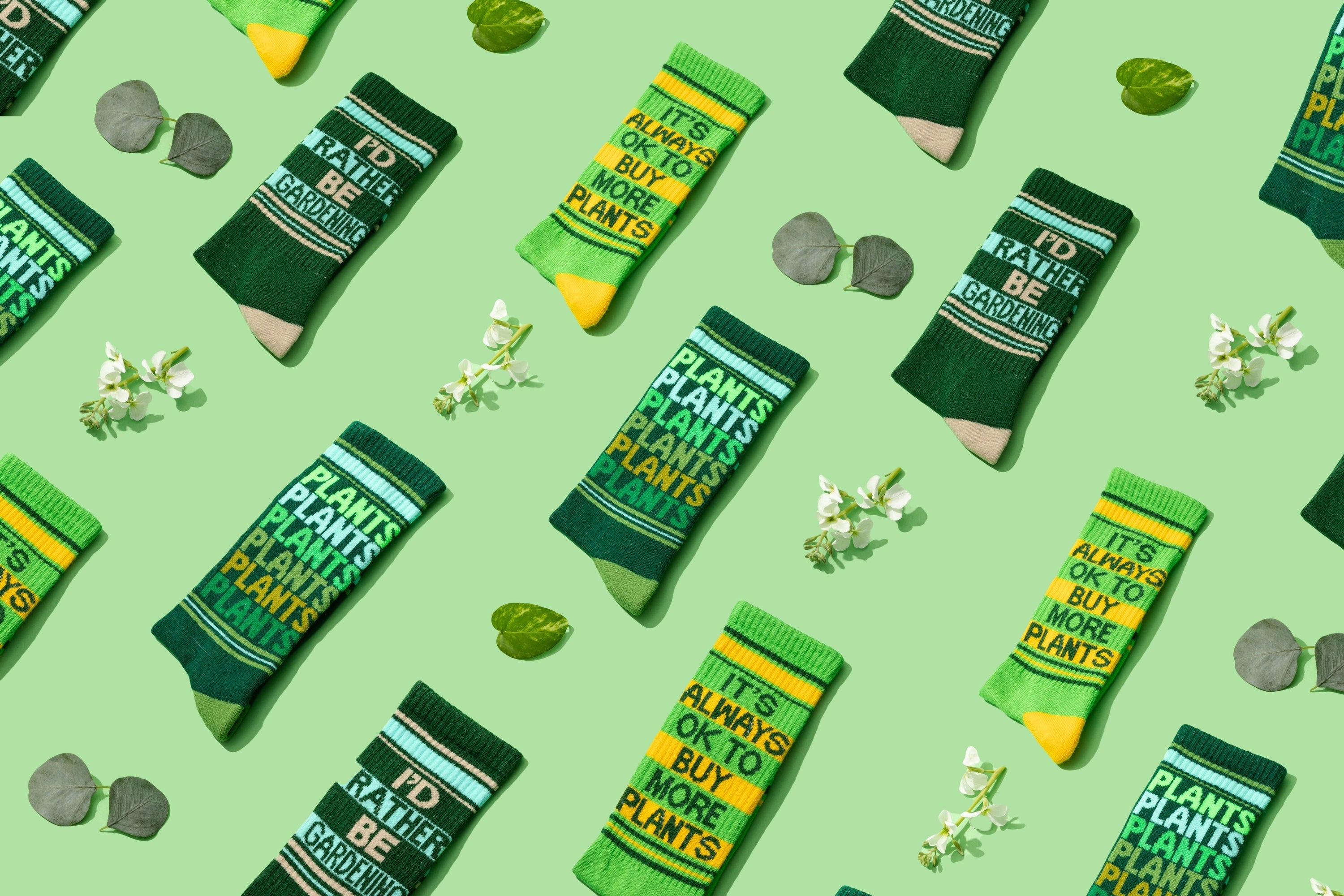 It's Always Ok To Buy More Plants