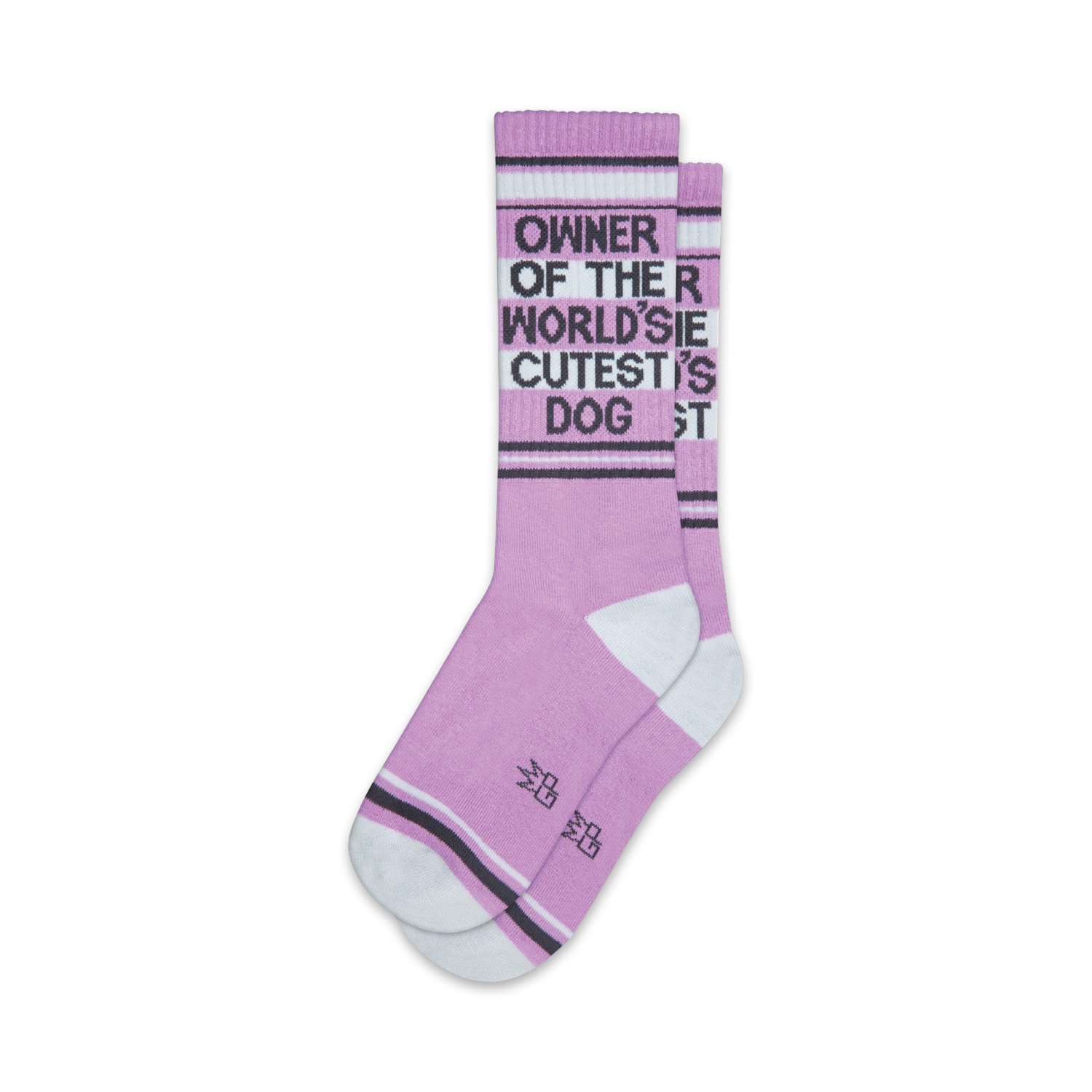 Owner of the World's Cutest Dog