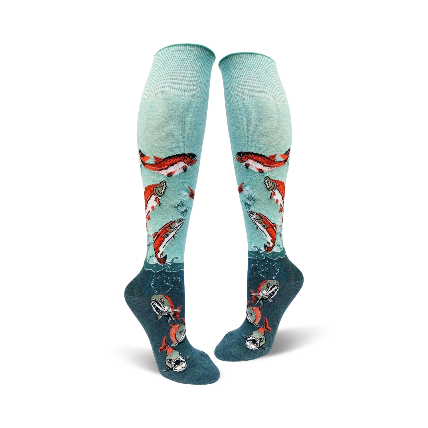 Sockeye Salmon Roll Top