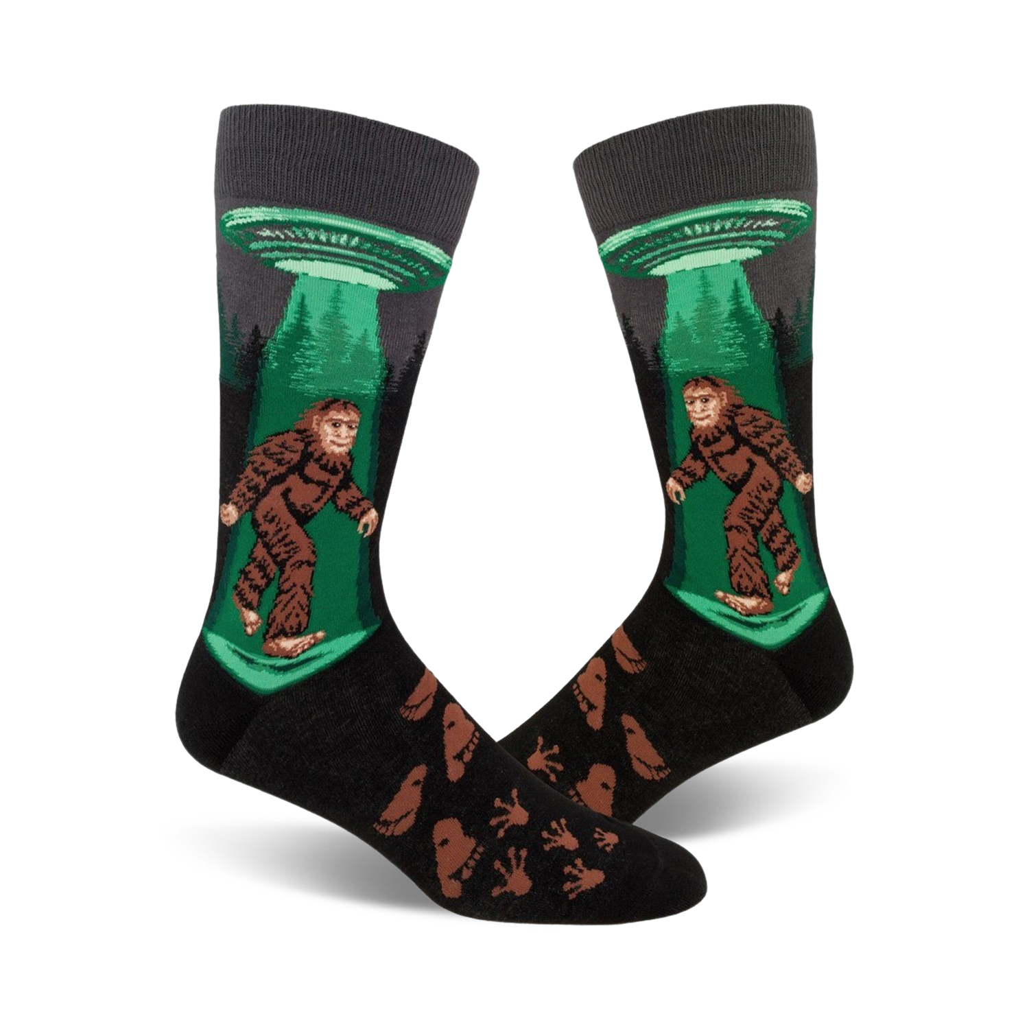 Sasquatch Believes In UFO