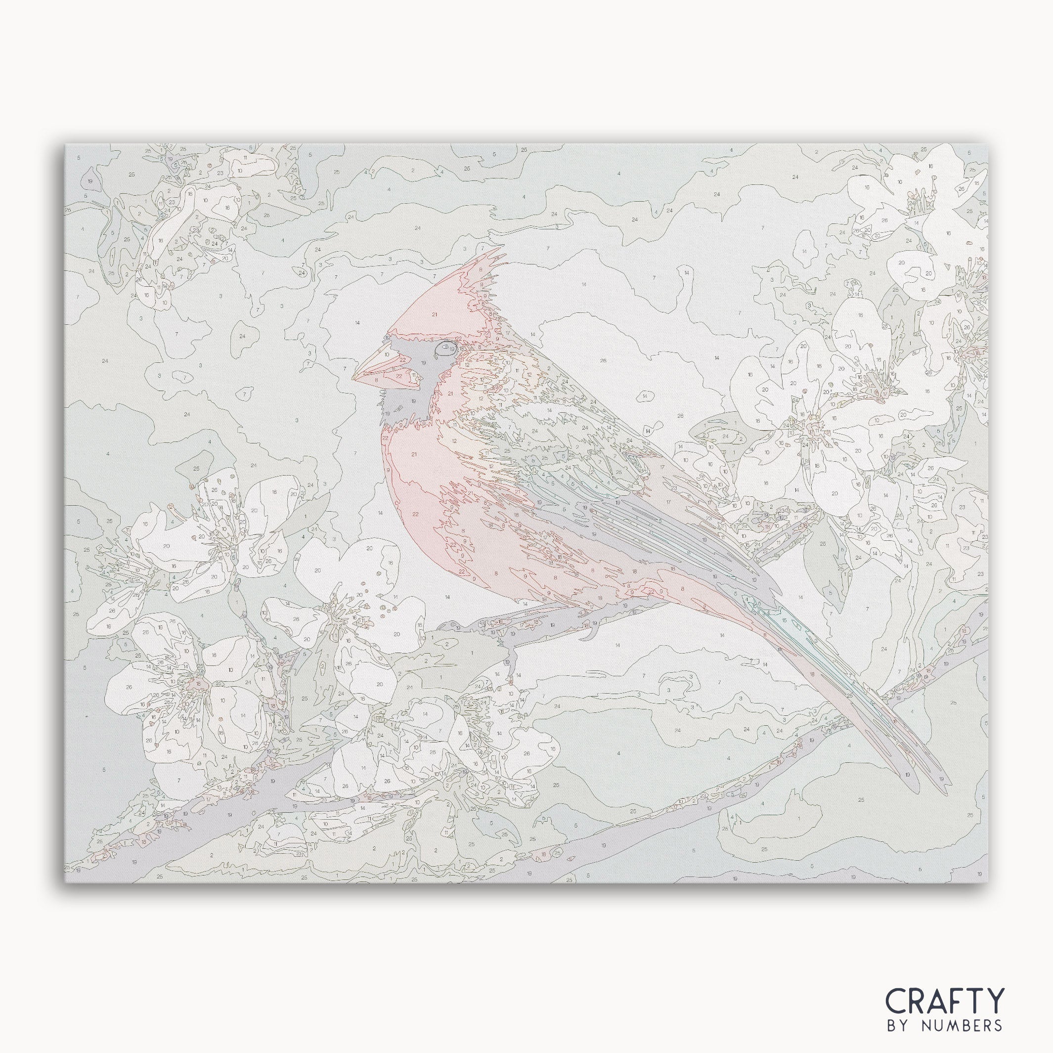 Northern Cardinal