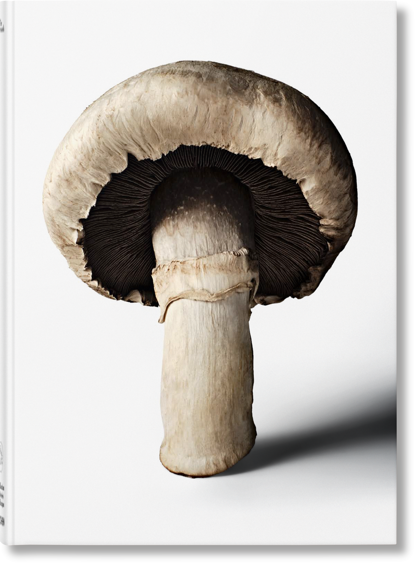 The Gourmand's Mushroom. A Collection of Stories & Recipes (English)