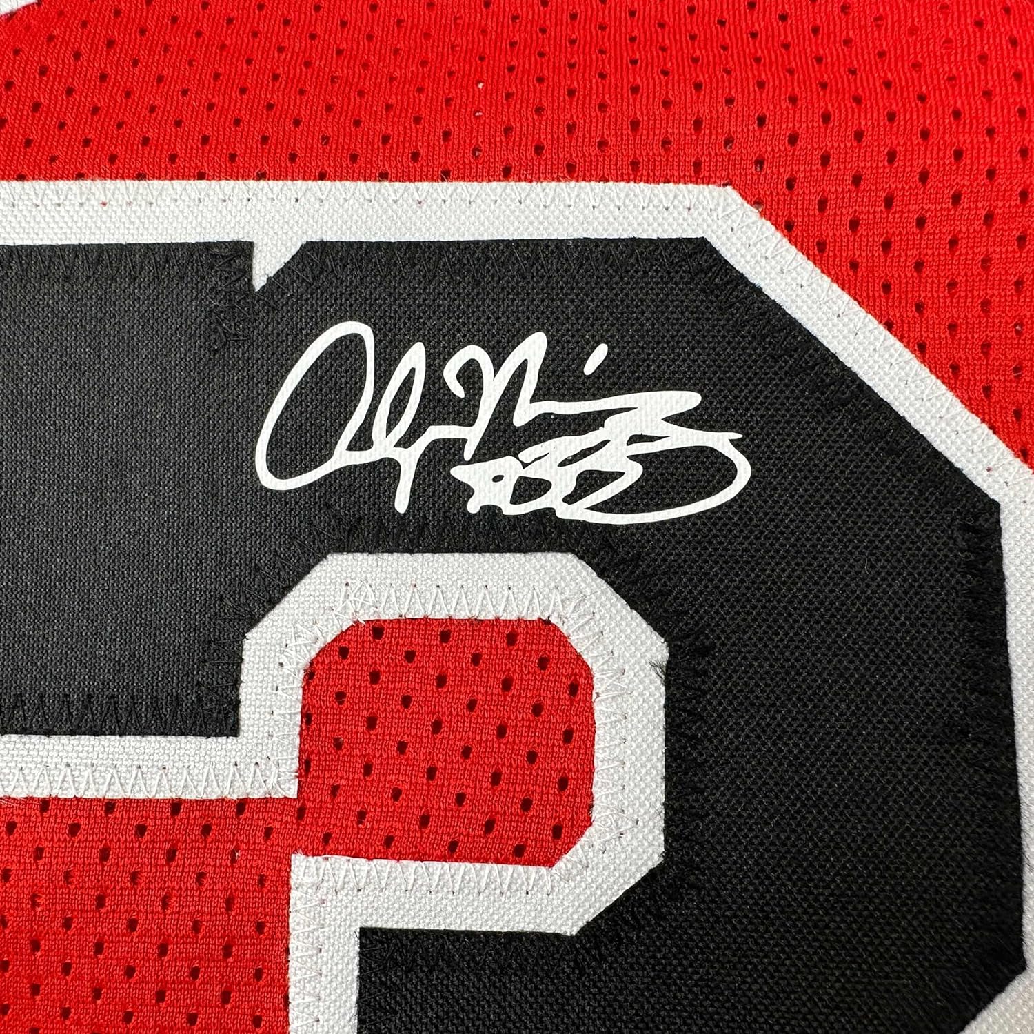 Framed Facsimile Autographed Alonzo Mourning 35x39 Miami Red Reprint Laser Auto Basketball Jersey