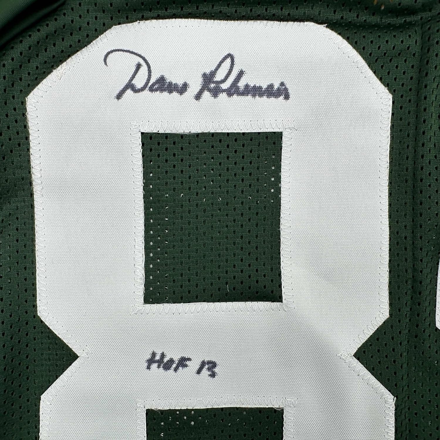 Framed Autographed/Signed Dave Robinson HOF 2013 35x39 Green Bay Packers Green Football Jersey JSA COA