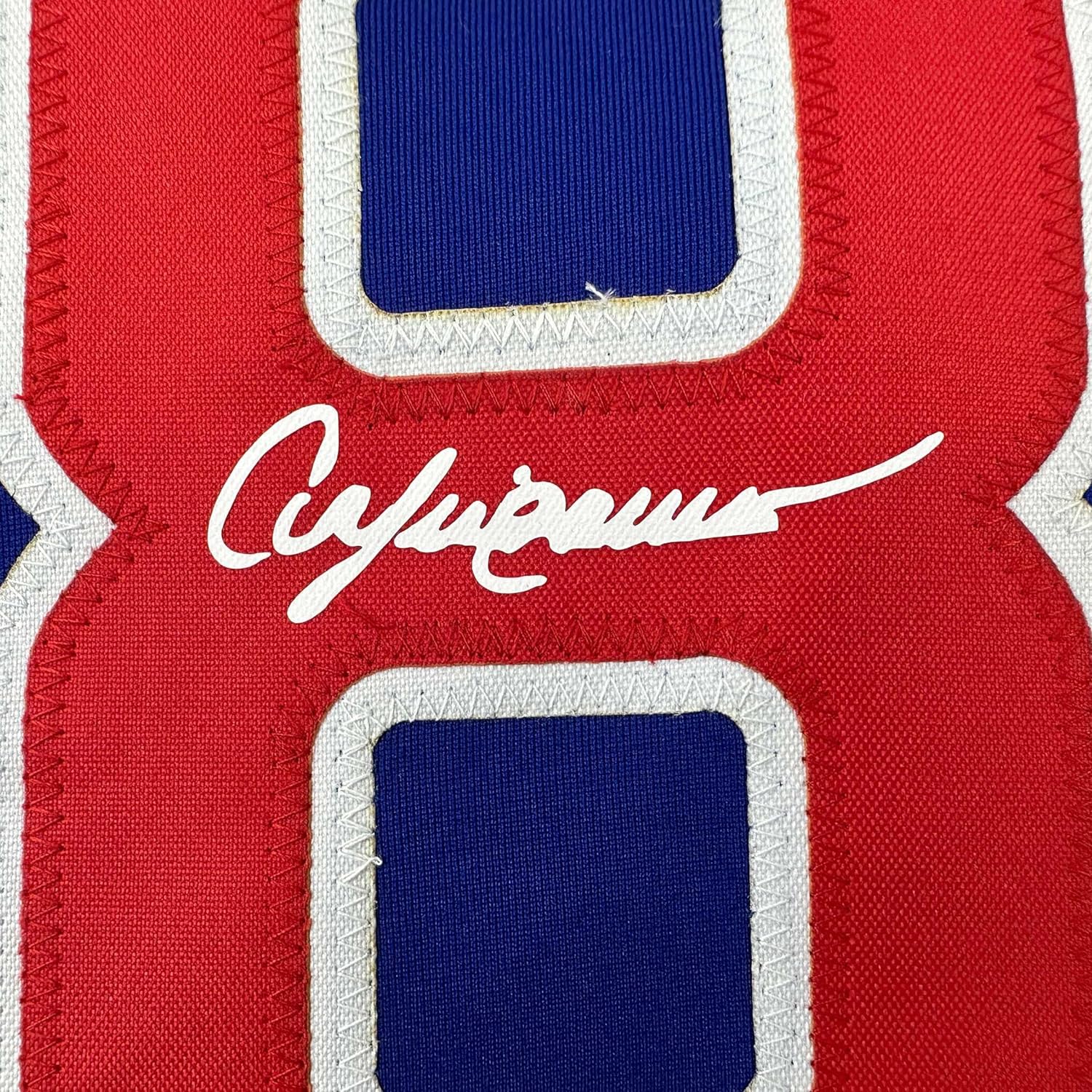 Framed Facsimile Autographed Andre Dawson 35x39 Chicago Blue Reprint Laser Auto Baseball Jersey
