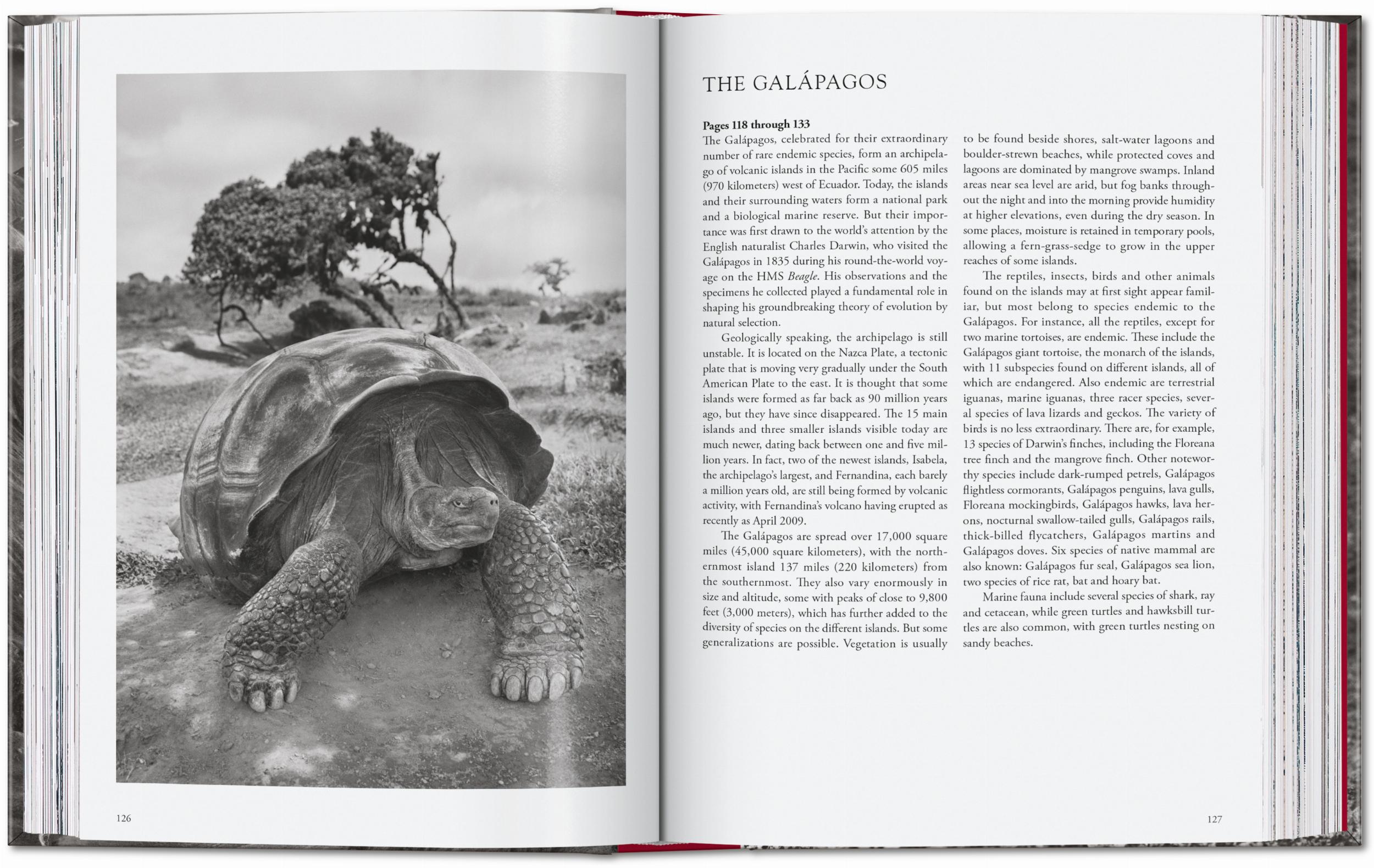 Sebastião Salgado. Genesis. 45th Ed. (English)