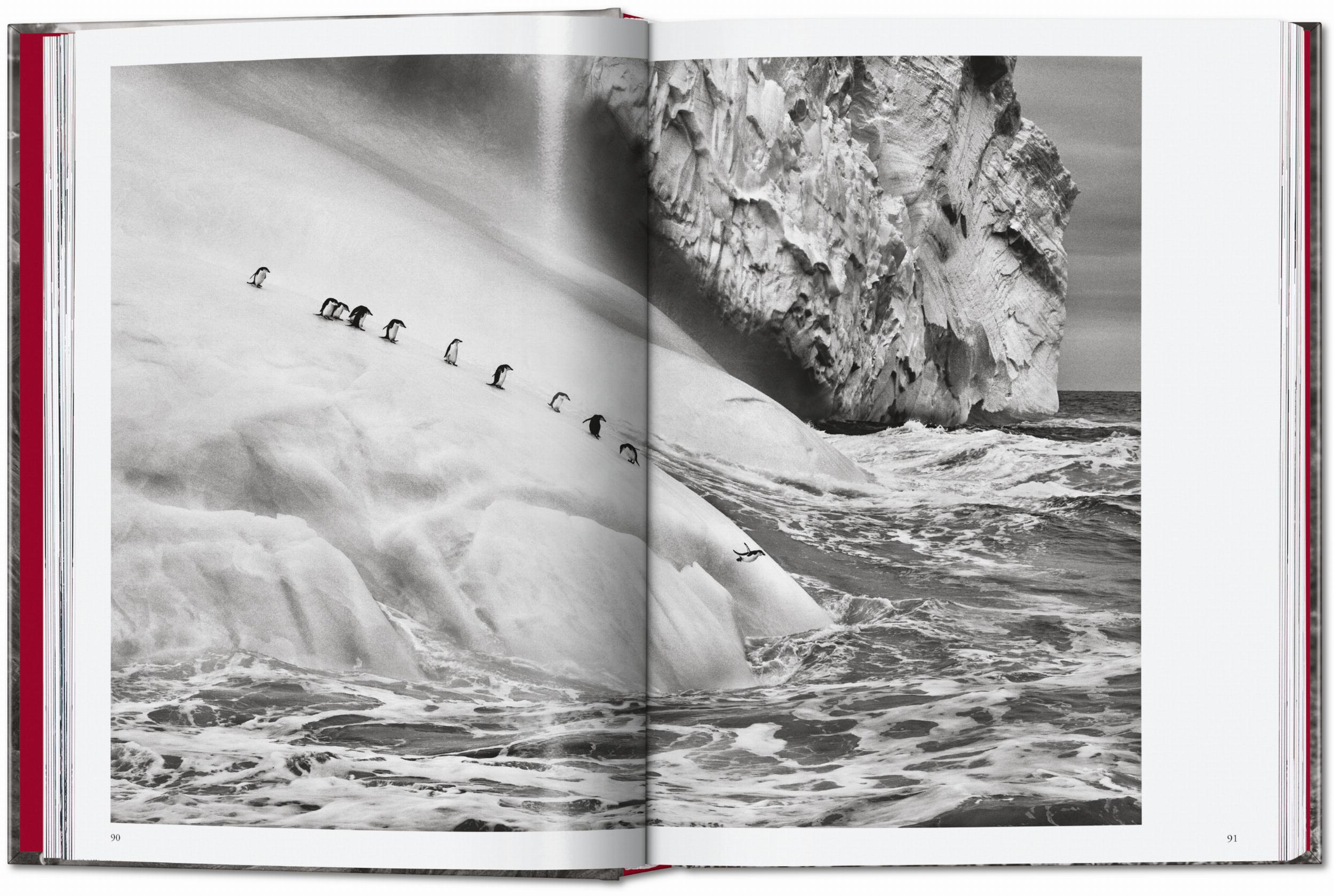 Sebastião Salgado. Genesis. 45th Ed. (English)