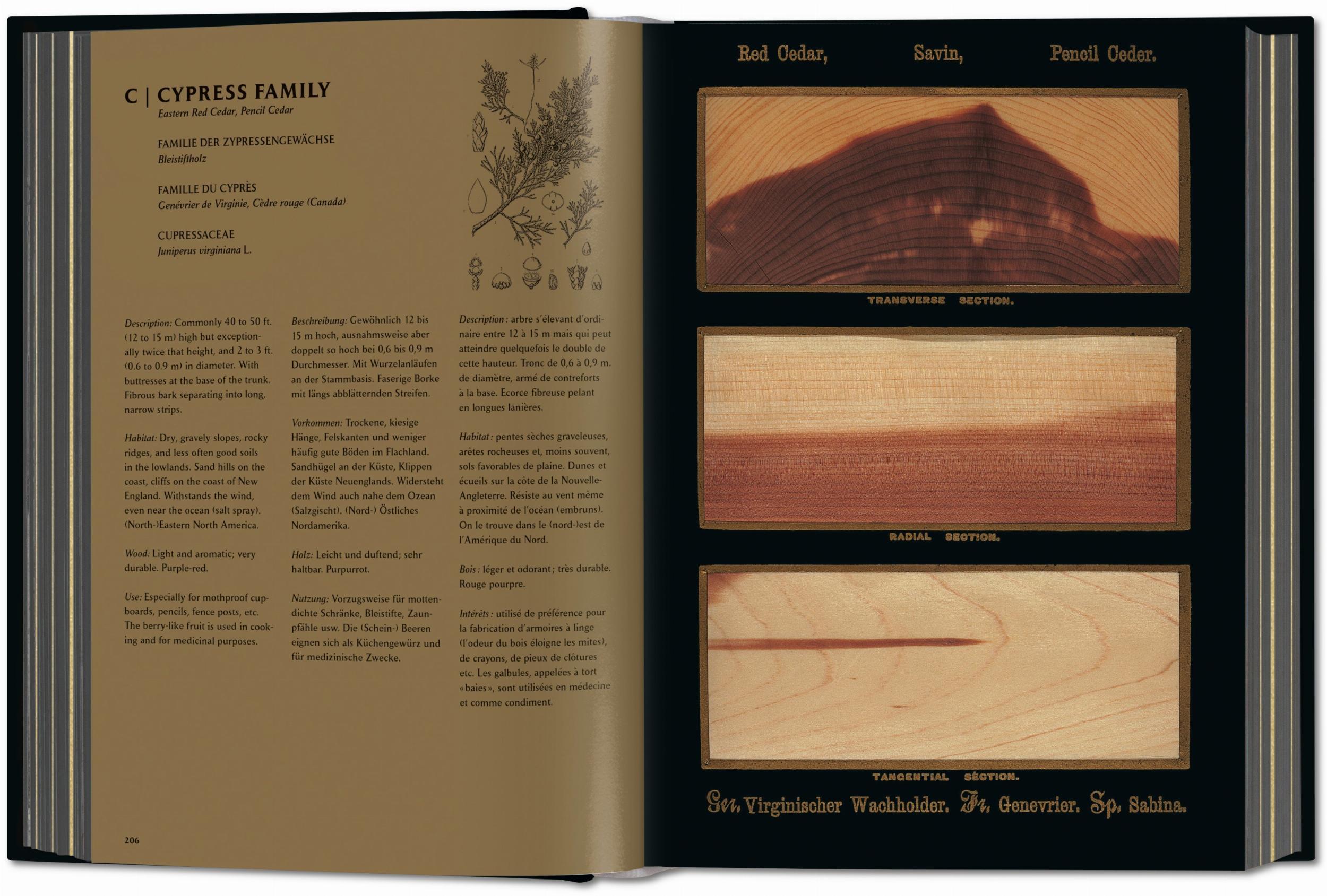 Romeyn B. Hough. The Woodbook. The Complete Plates (German, French, English)