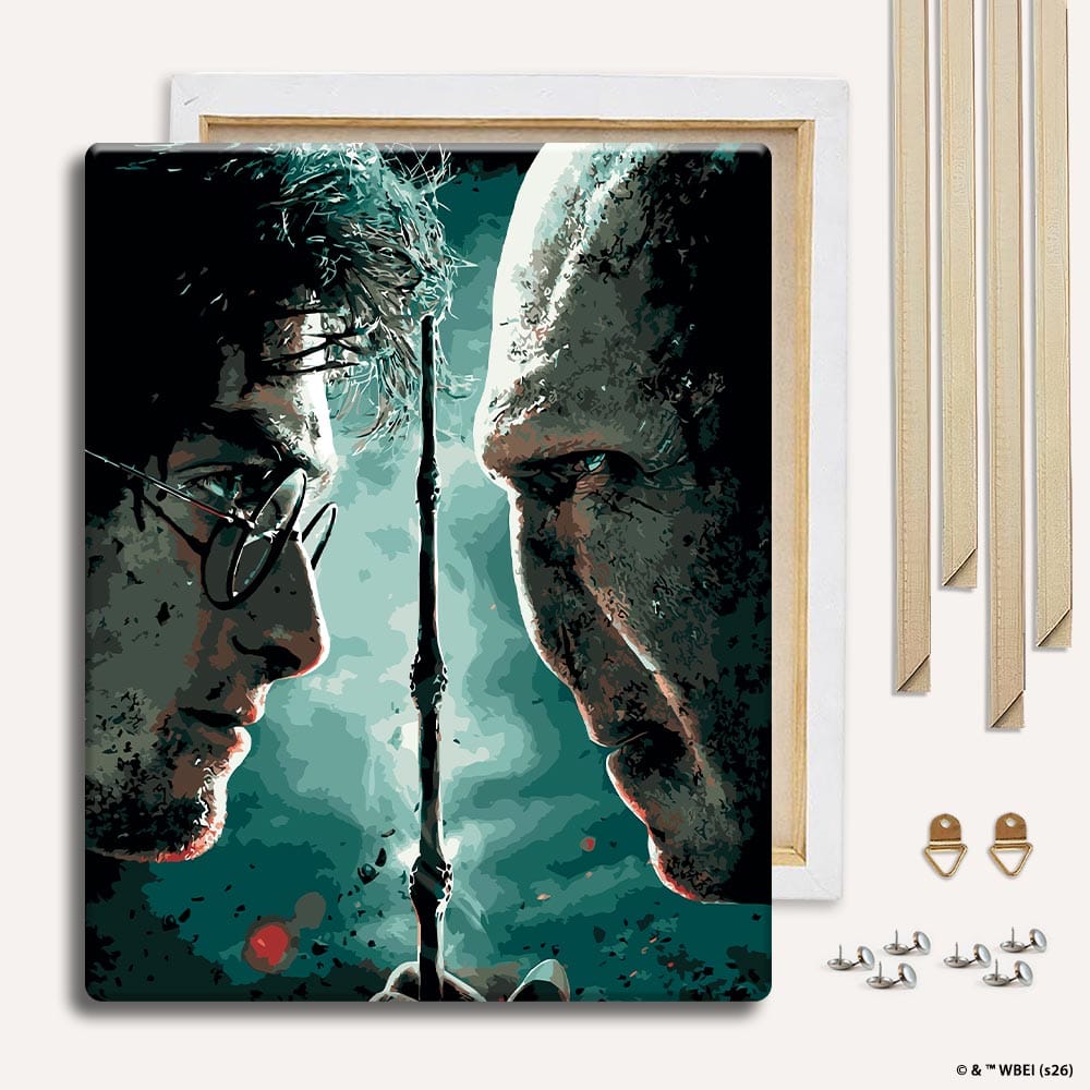 Harry vs Voldemort - Paint By Numbers Kit