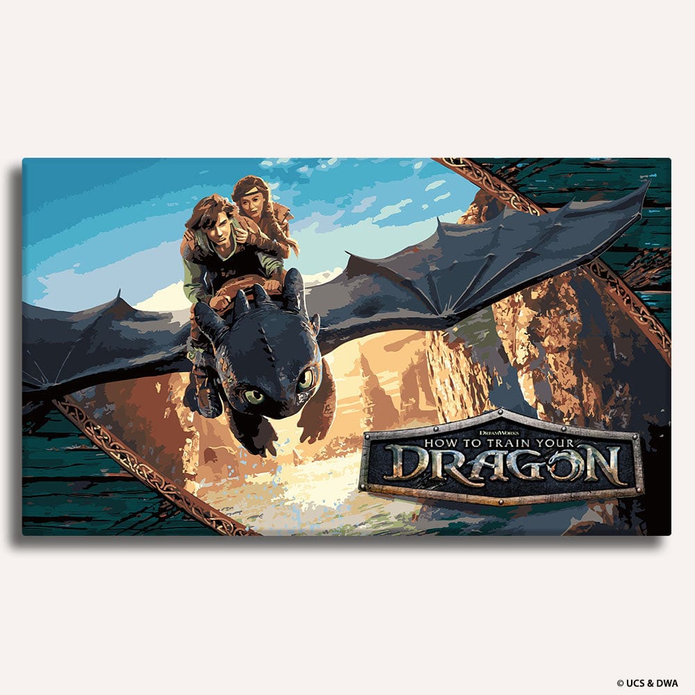 How to Train Your Dragon - Paint By Numbers Kit