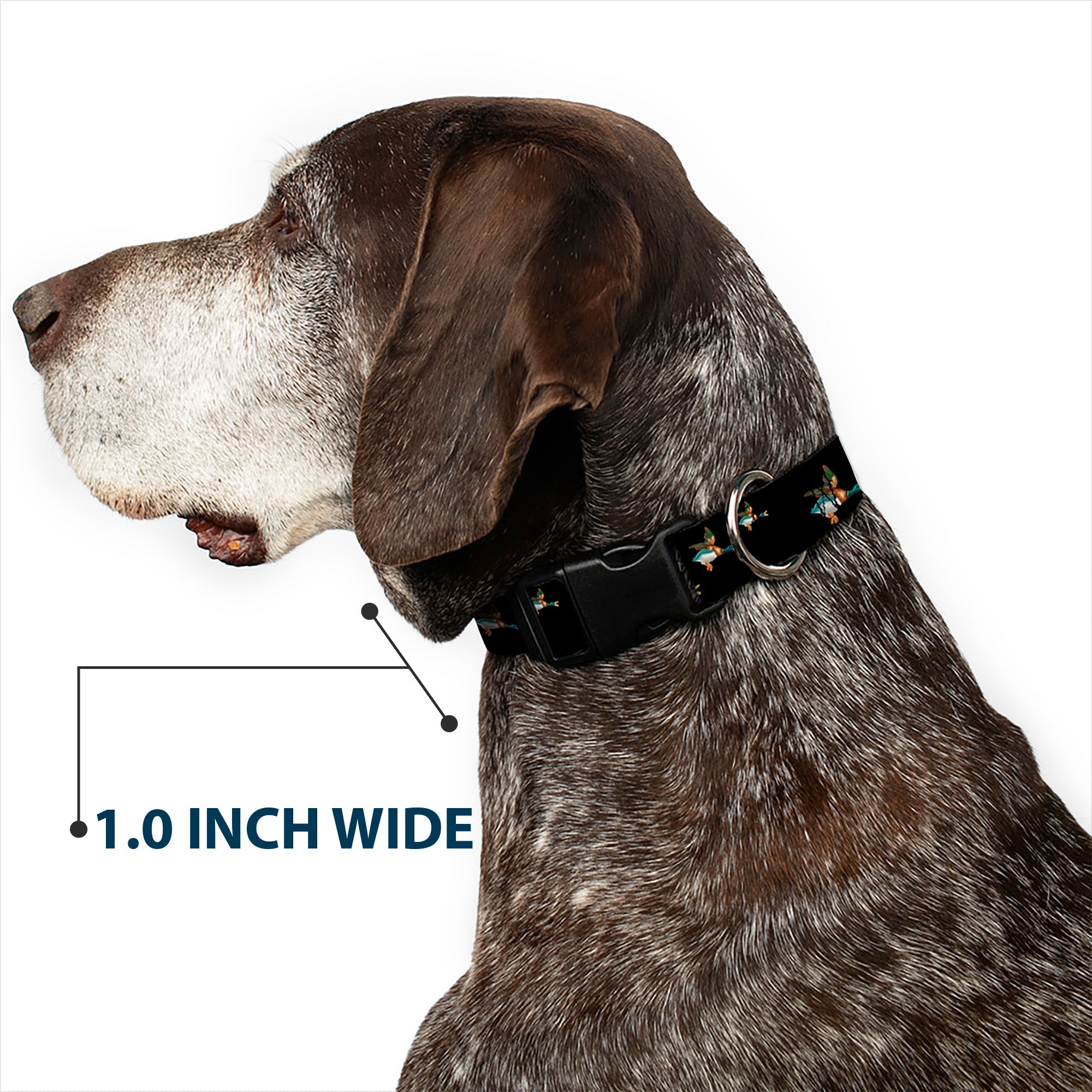 Plastic Clip Collar - Flying Mallards Black