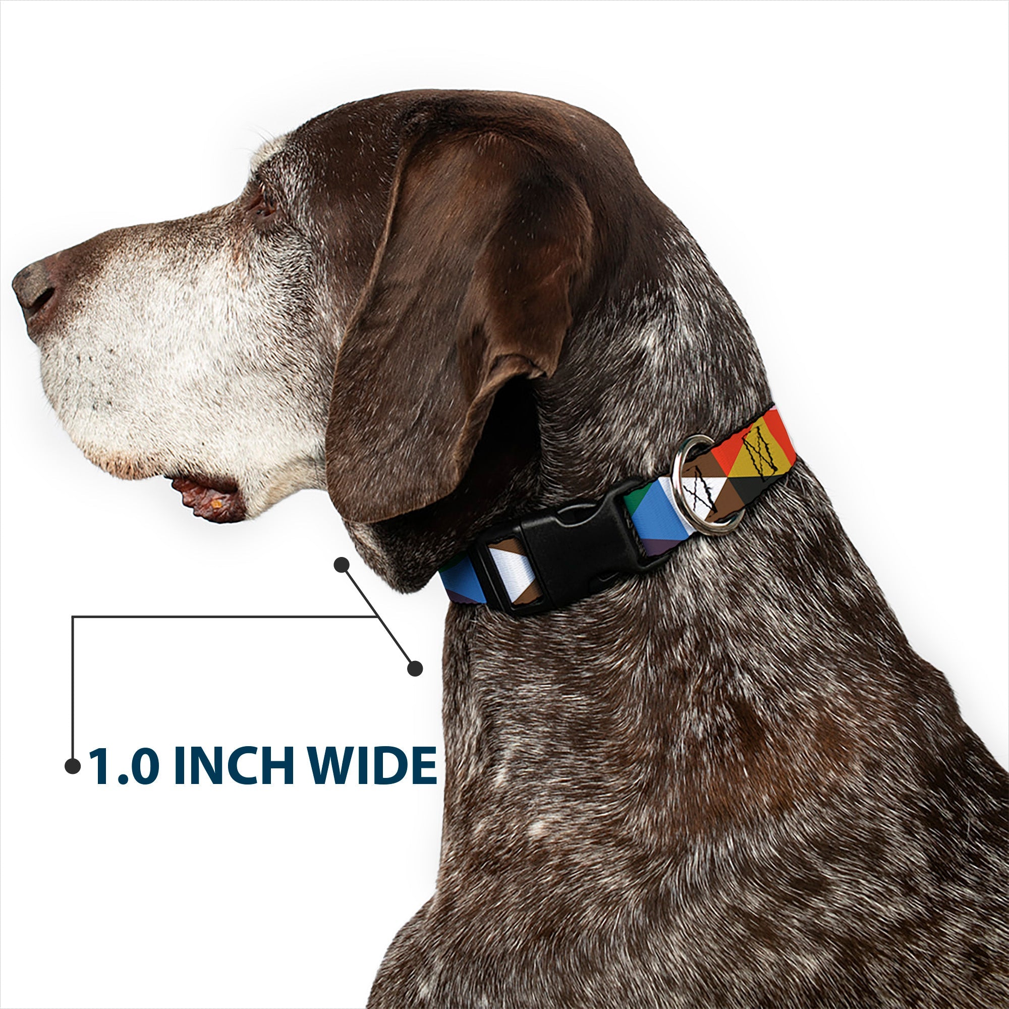 Plastic Clip Collar - Geometric Triangle Blocks Multi Color