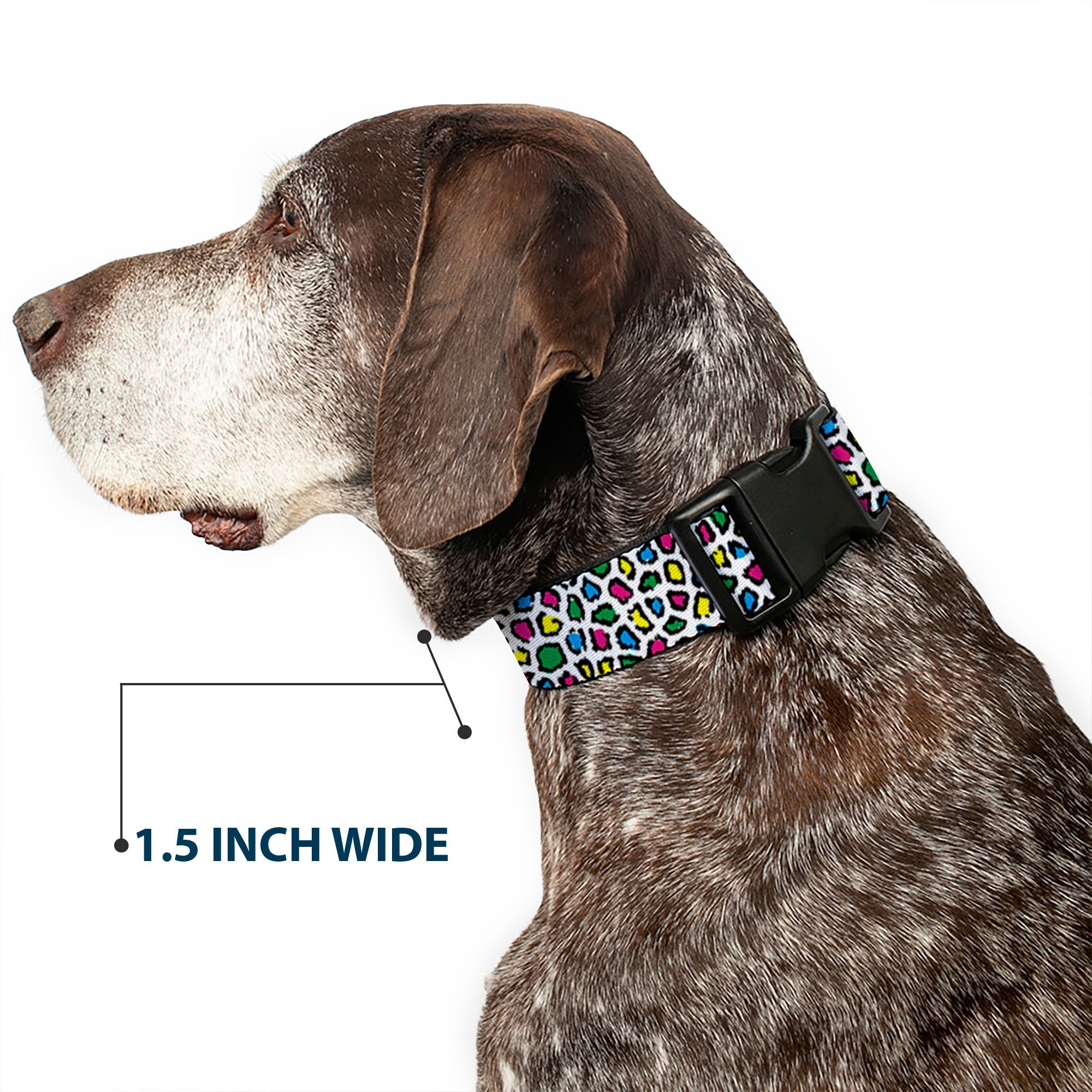 Plastic Clip Collar - Leopard White/Multi Color