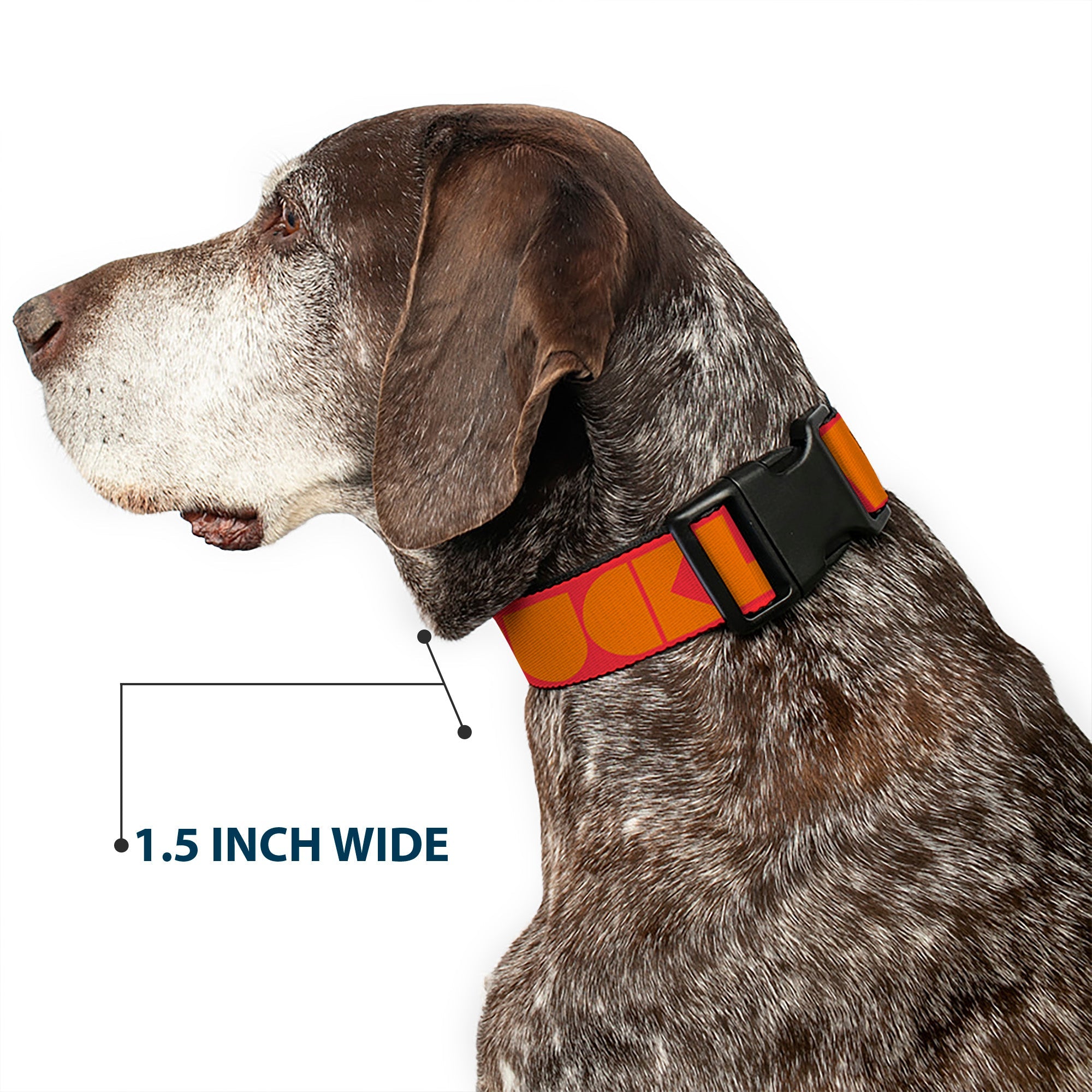Plastic Clip Collar - BUCKLE-DOWN Shapes Red/Orange