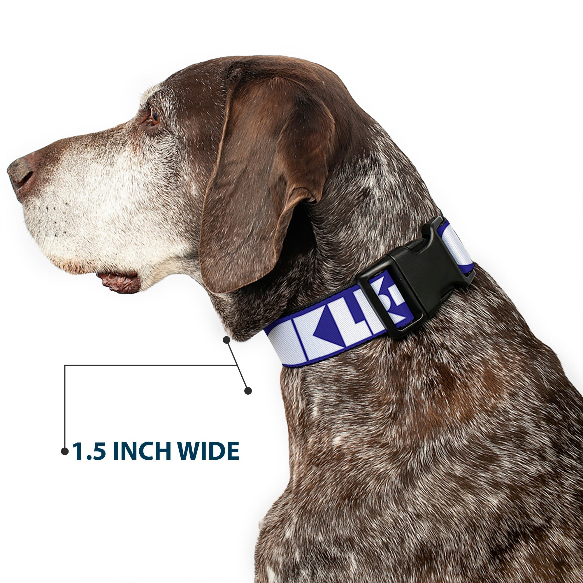 Plastic Clip Collar - BUCKLE-DOWN Shapes Blue/White