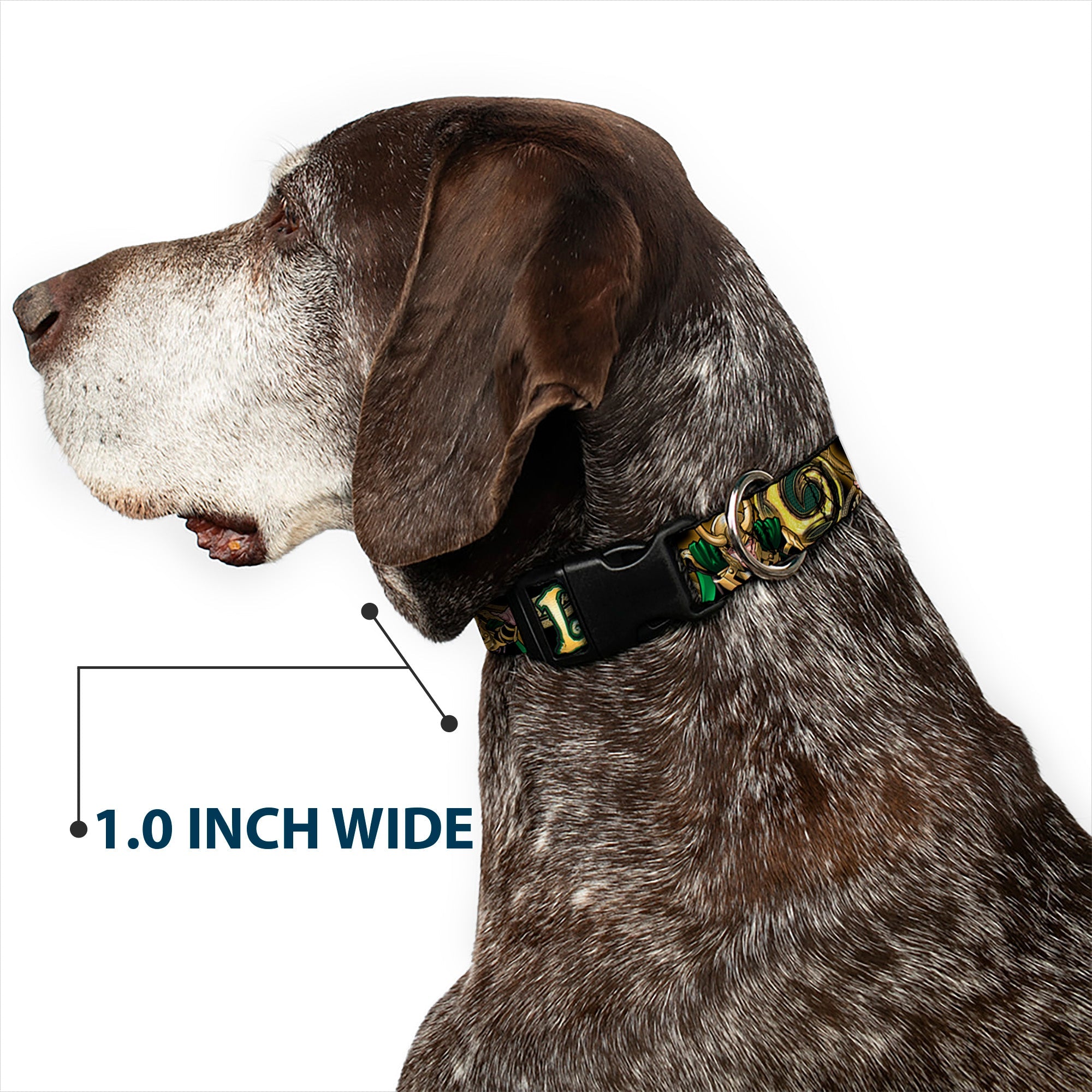 Plastic Clip Collar - LOKI Poses Black/Gold/Green
