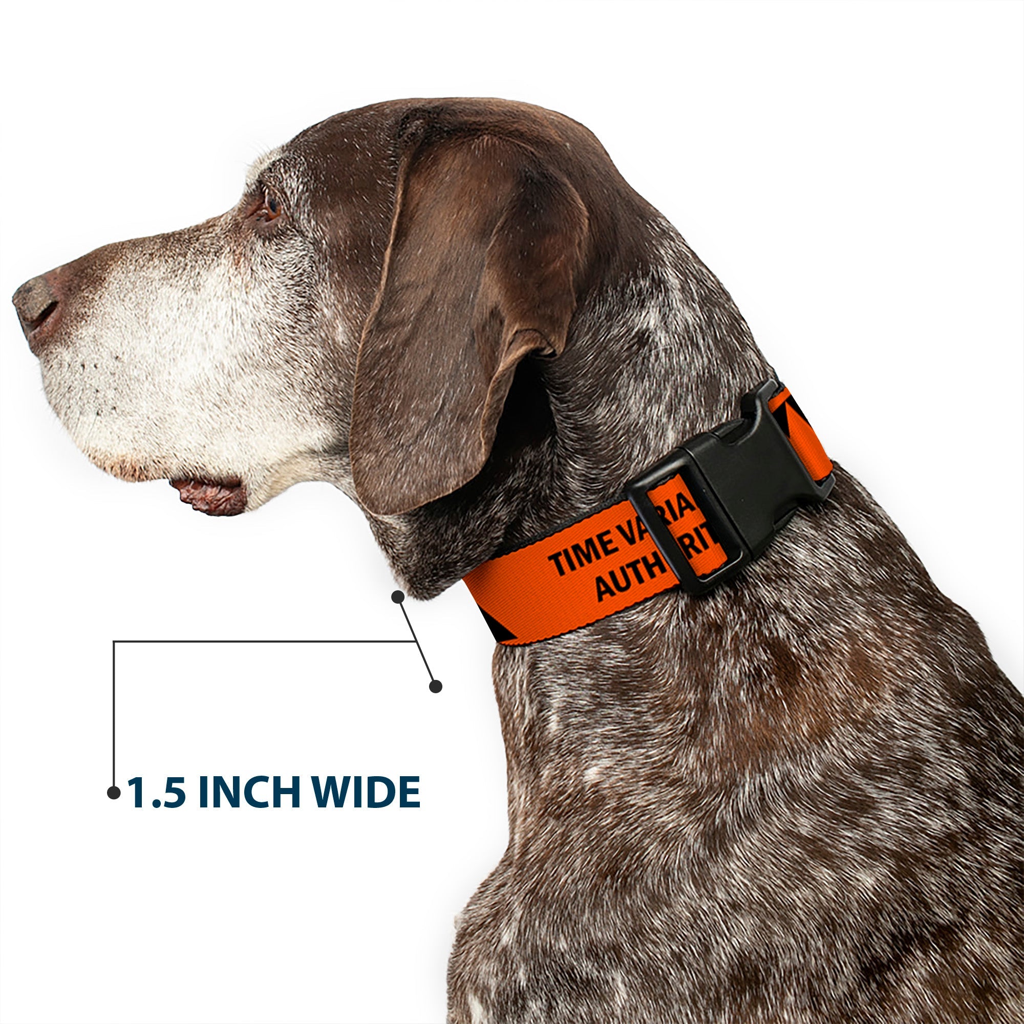 Plastic Clip Collar - Loki Series TVA TIME VARIANCE AUTHORITY Text Orange/Black